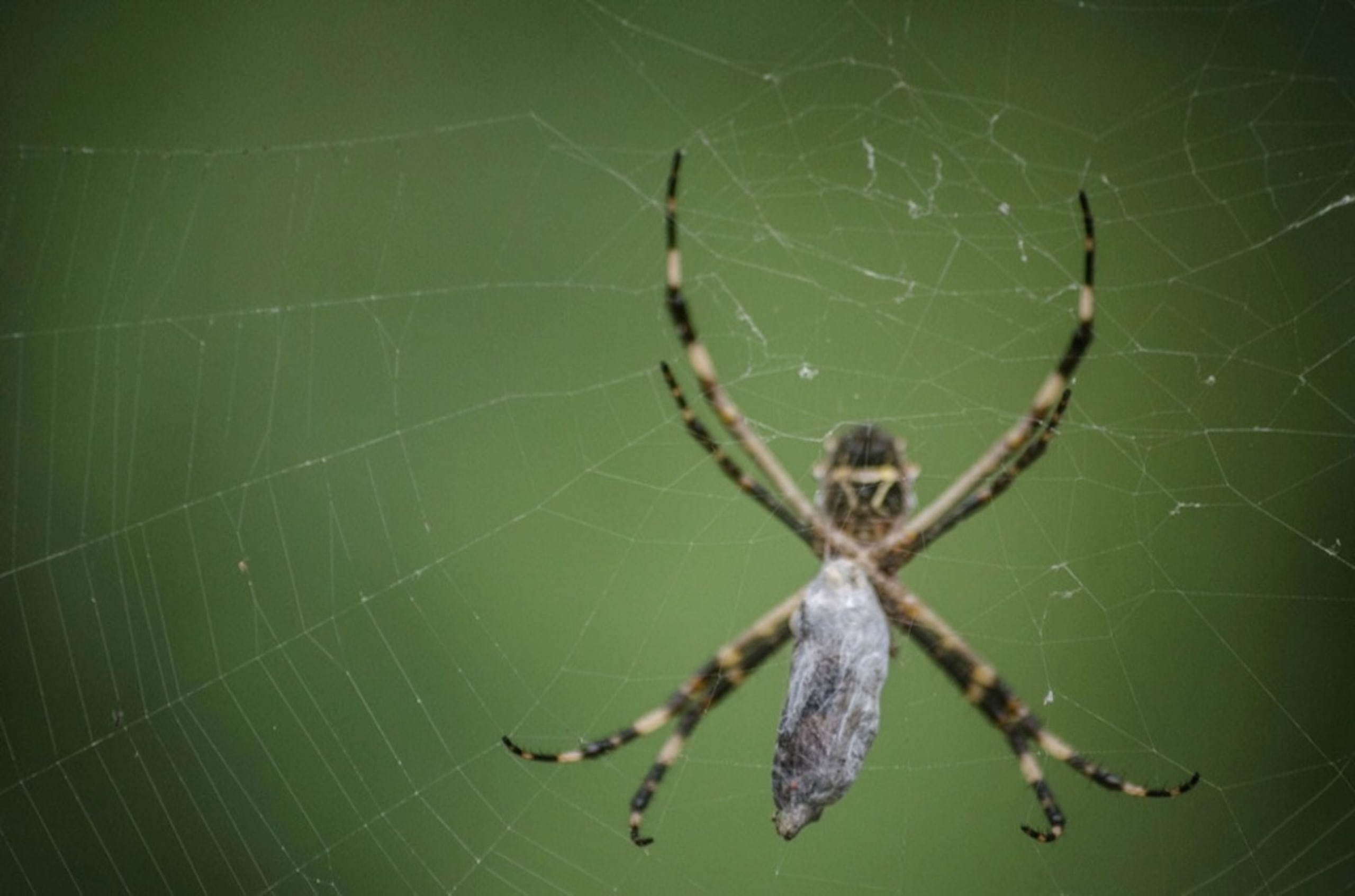 Puerto Maldonado Amazon Budget Eco-Lodge 4D/3N - 15