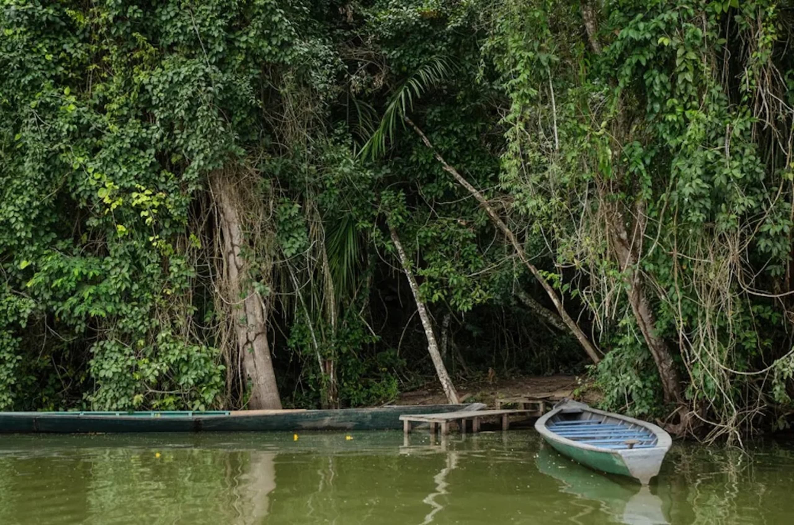 Puerto Maldonado Amazon Budget Eco-Lodge 4D/3N - 7