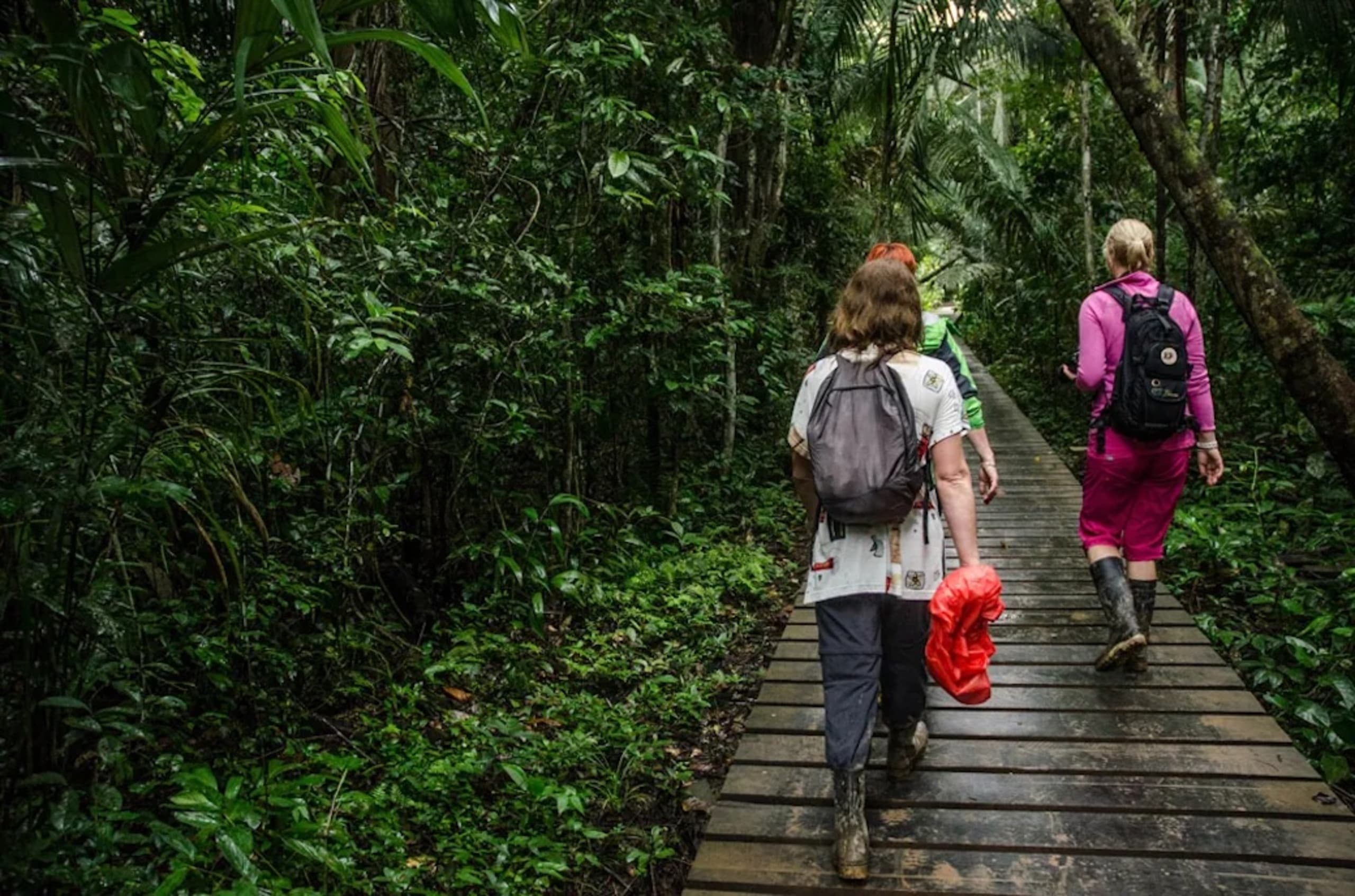 Puerto Maldonado Amazon Budget Eco-Lodge 4D/3N - 8