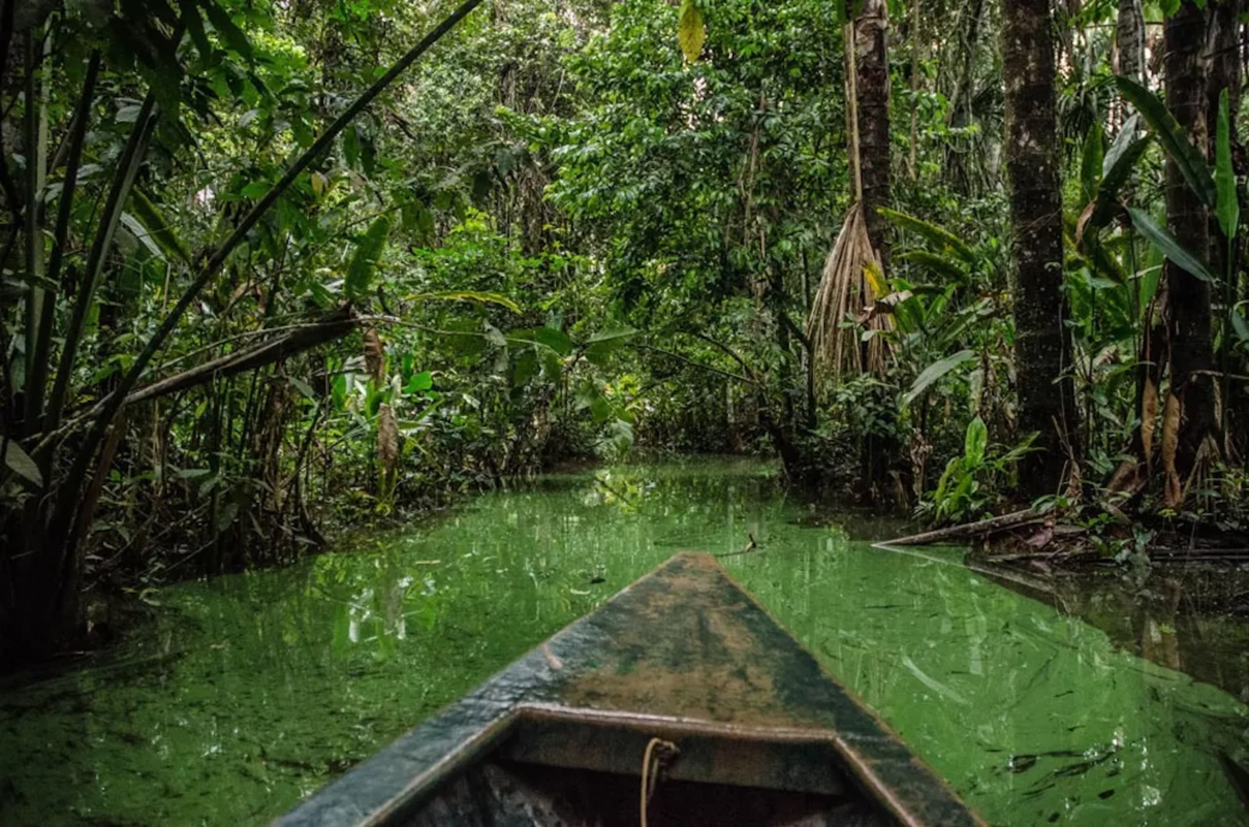 Puerto Maldonado Amazon Budget Eco-Lodge 4D/3N - 4