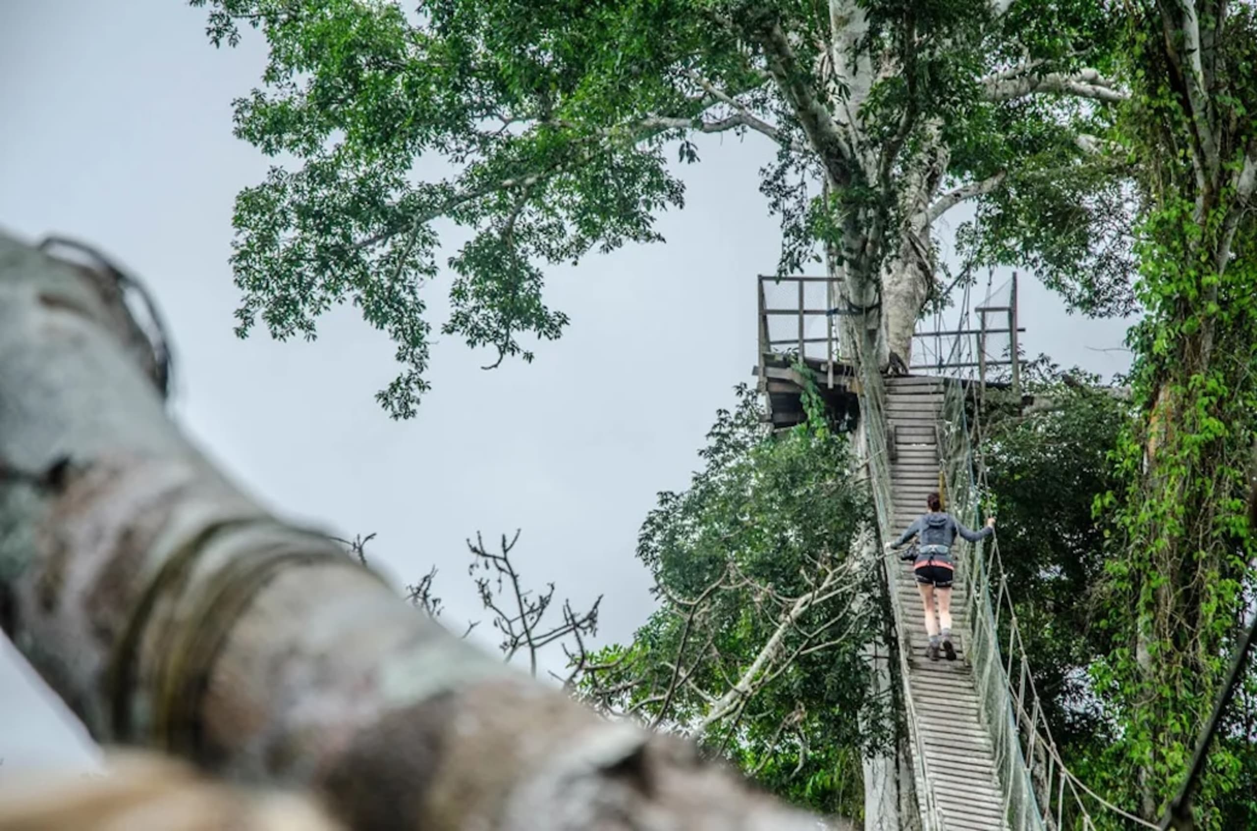 Puerto Maldonado Amazon Budget Eco-Lodge 4D/3N - 25