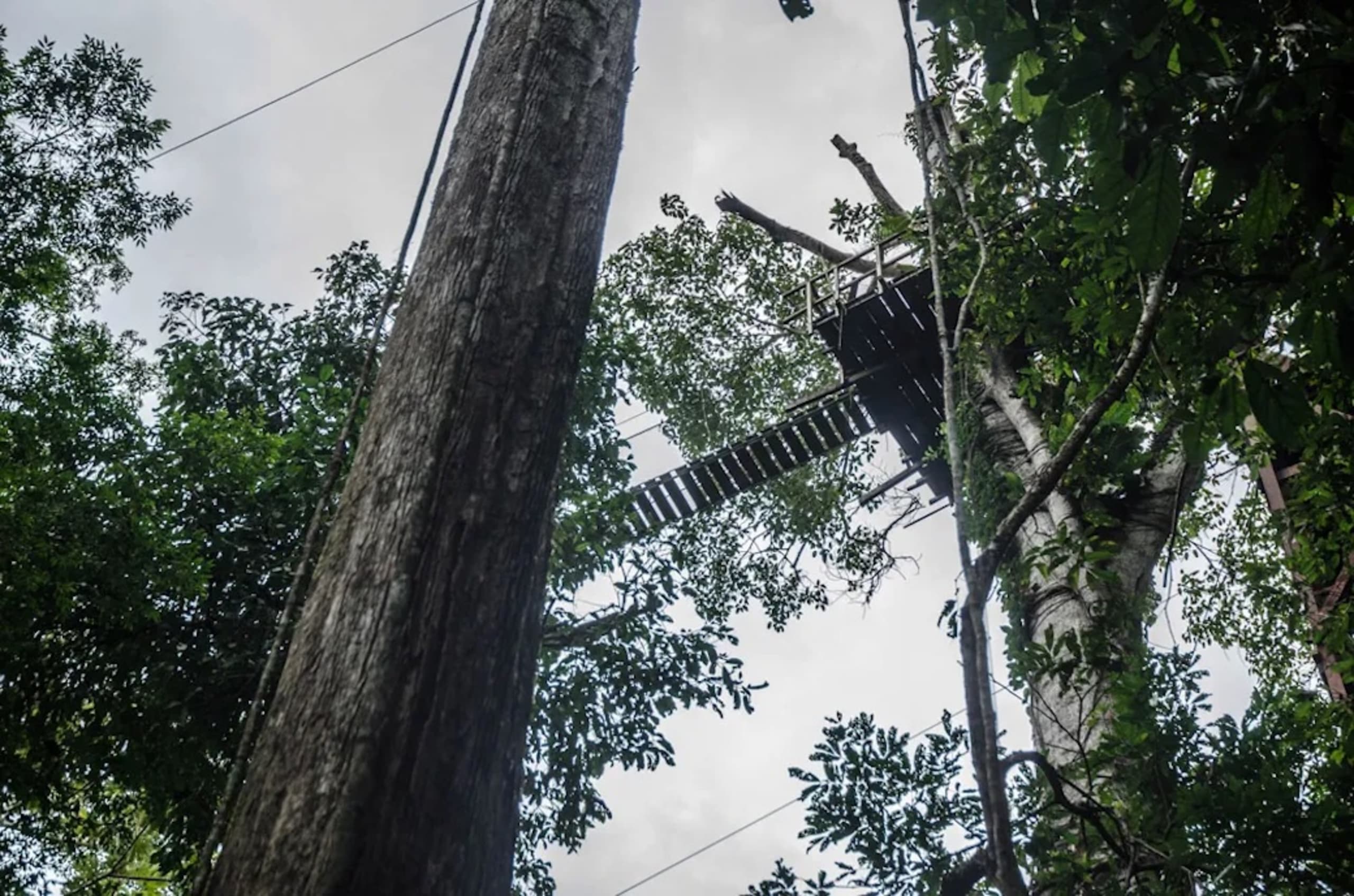 Puerto Maldonado Amazon Budget Eco-Lodge 4D/3N - 23