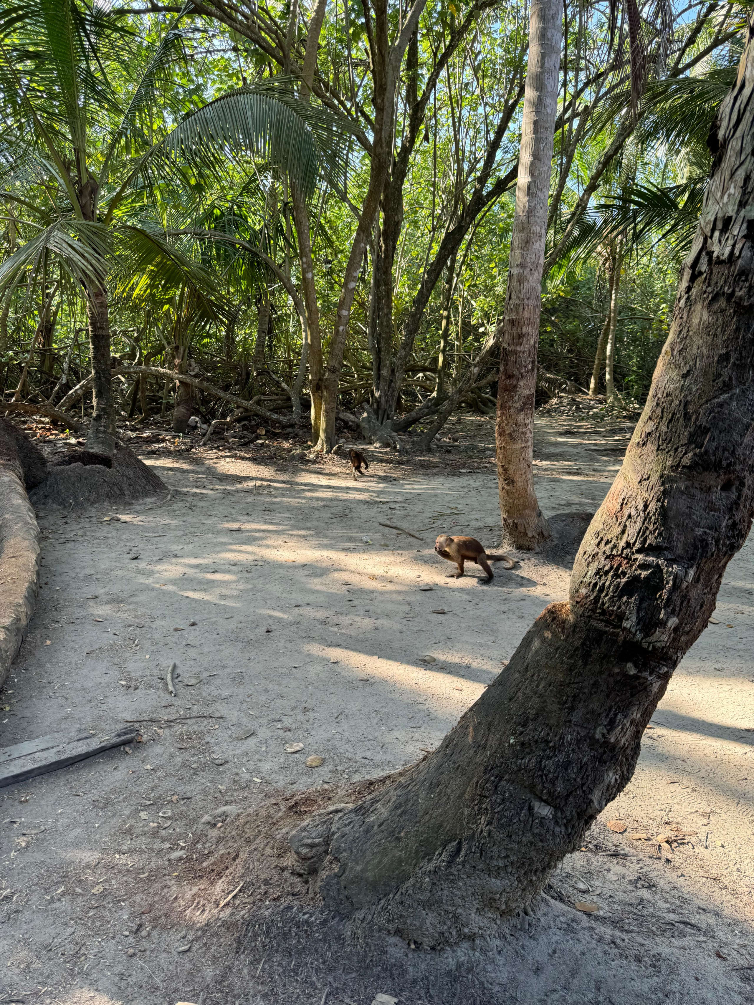 Experiencia Natural Tayrona 3D/2N - 11