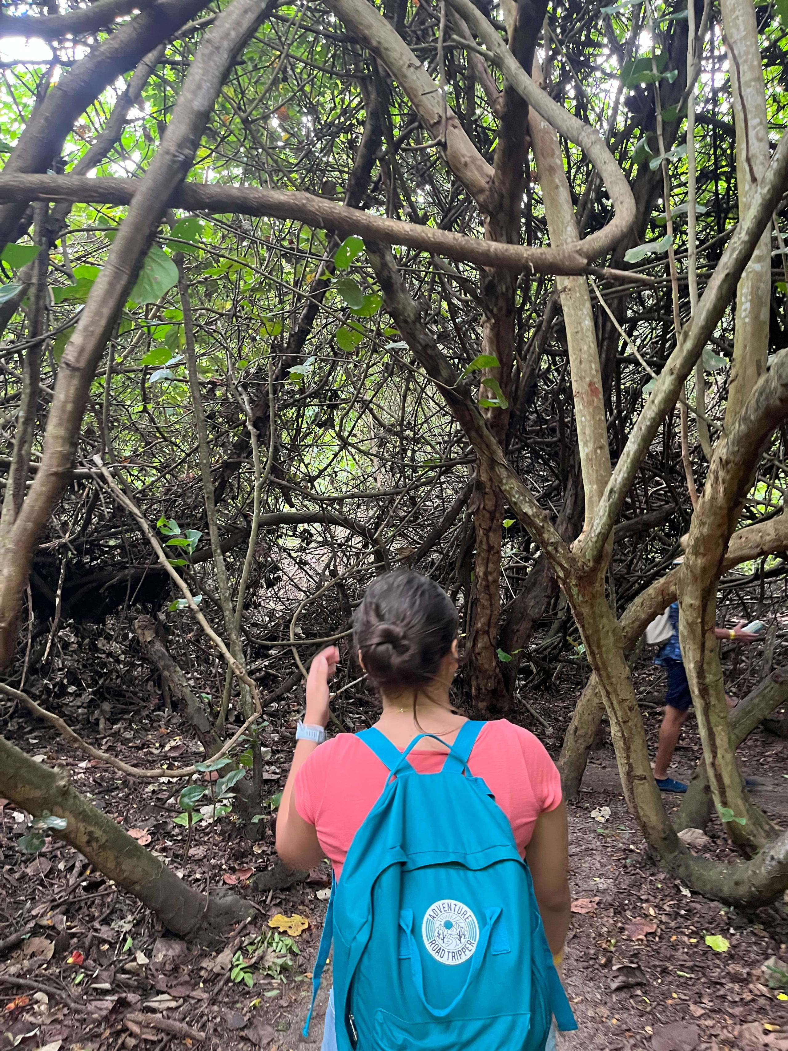 Experiencia Natural Tayrona 3D/2N - 14