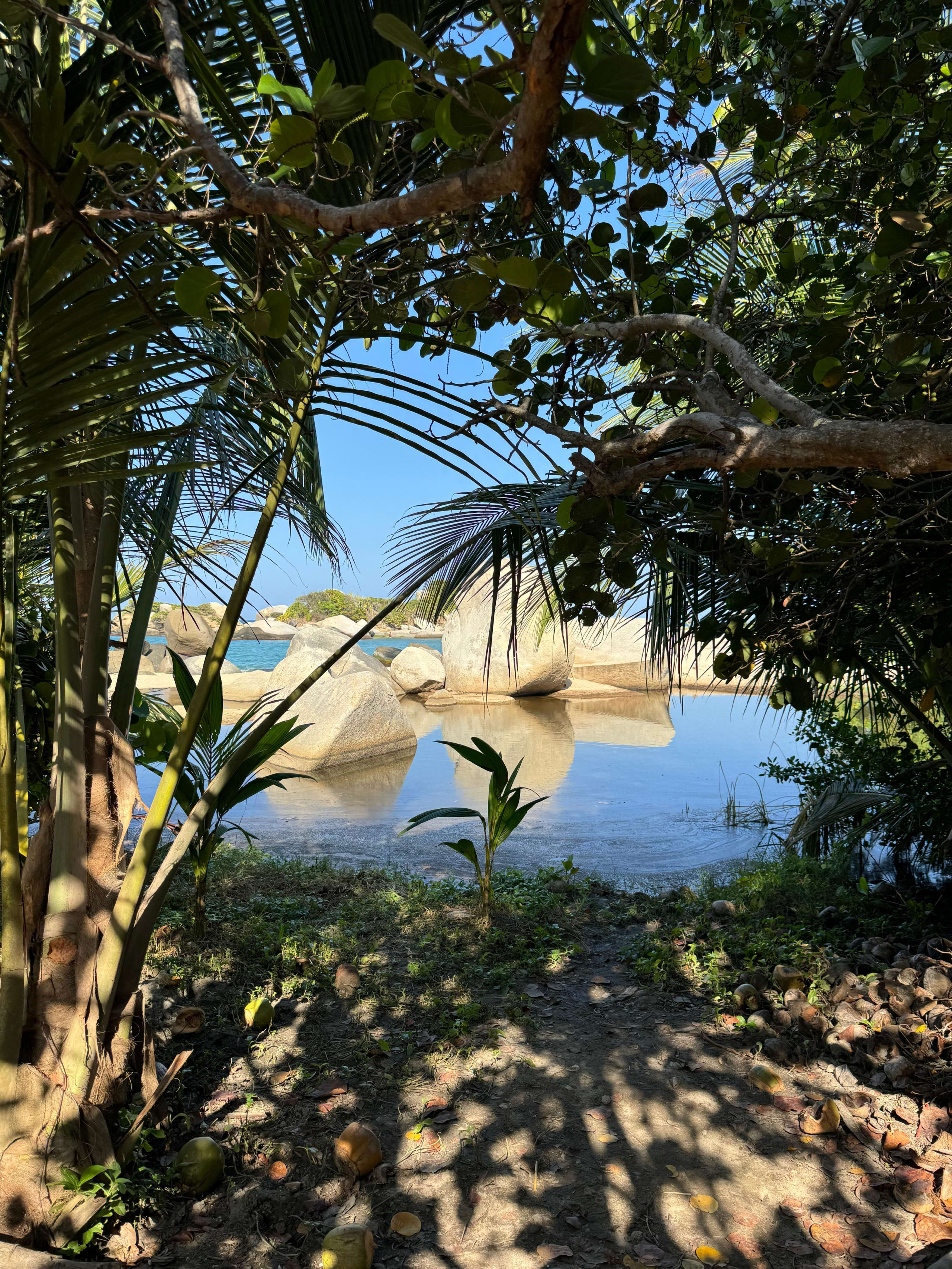 Experiencia Natural Tayrona 3D/2N - 10