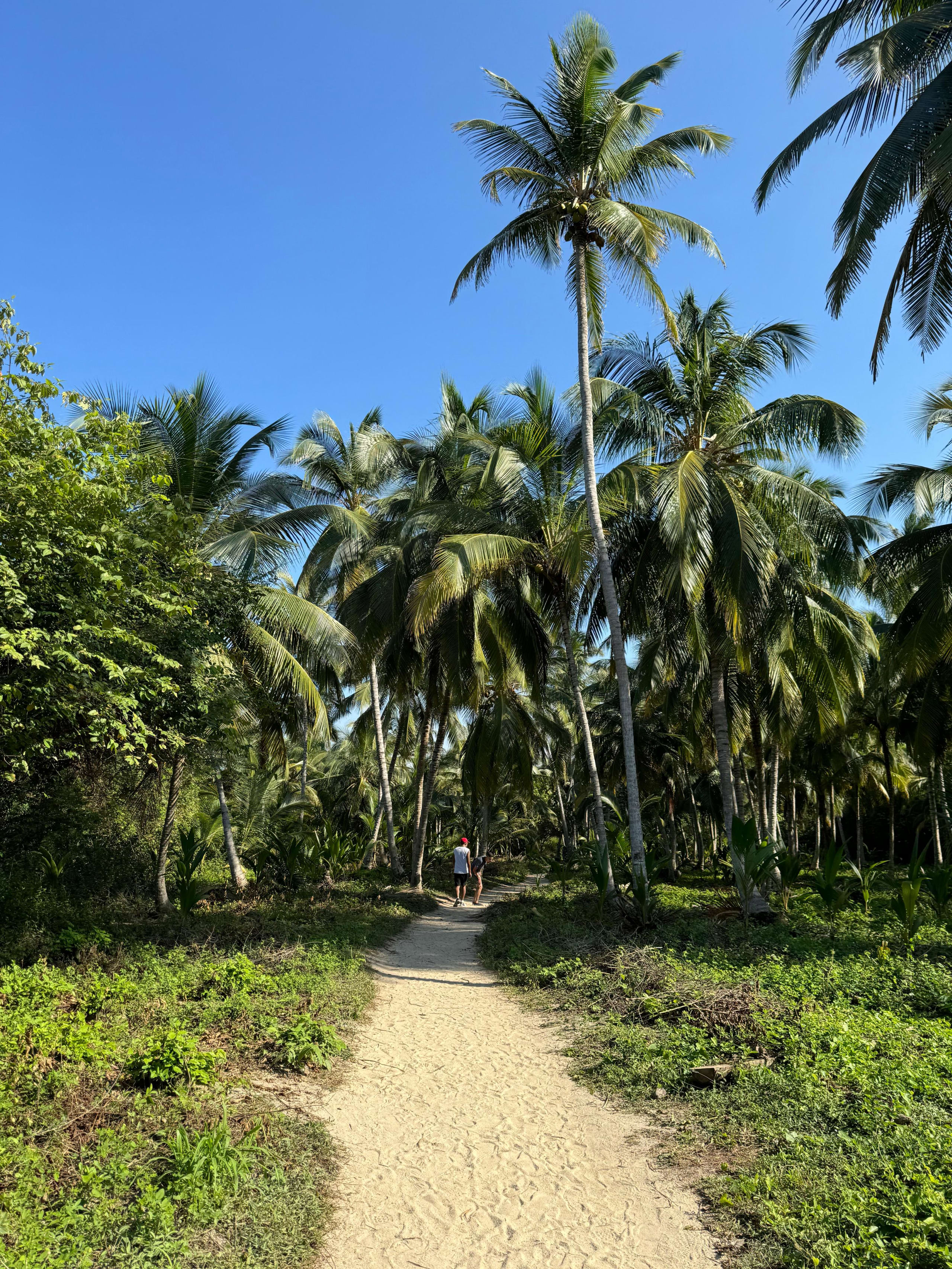 Experiencia Natural Tayrona 3D/2N - 9
