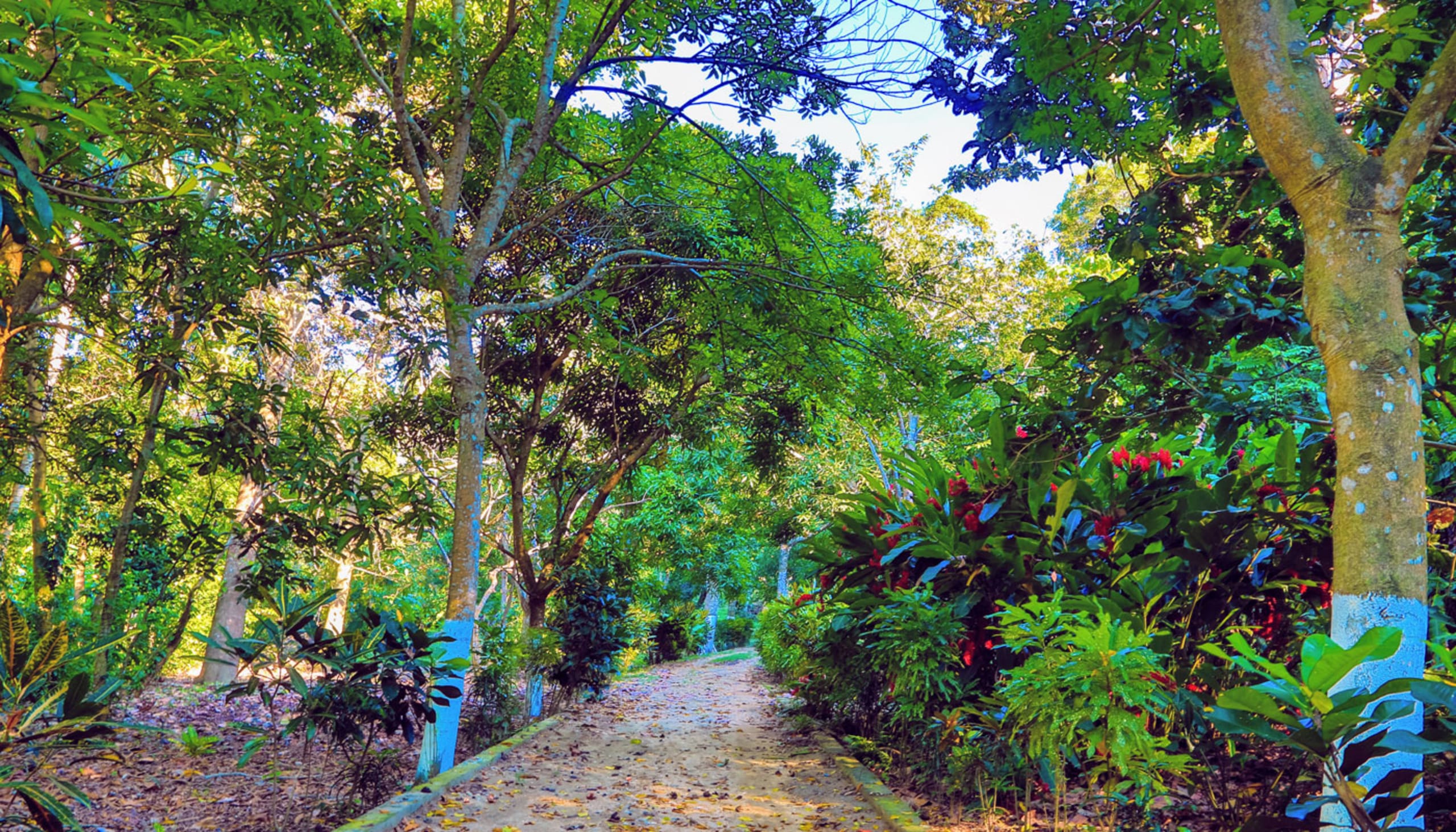 Experiencia Natural Tayrona 3D/2N - 16