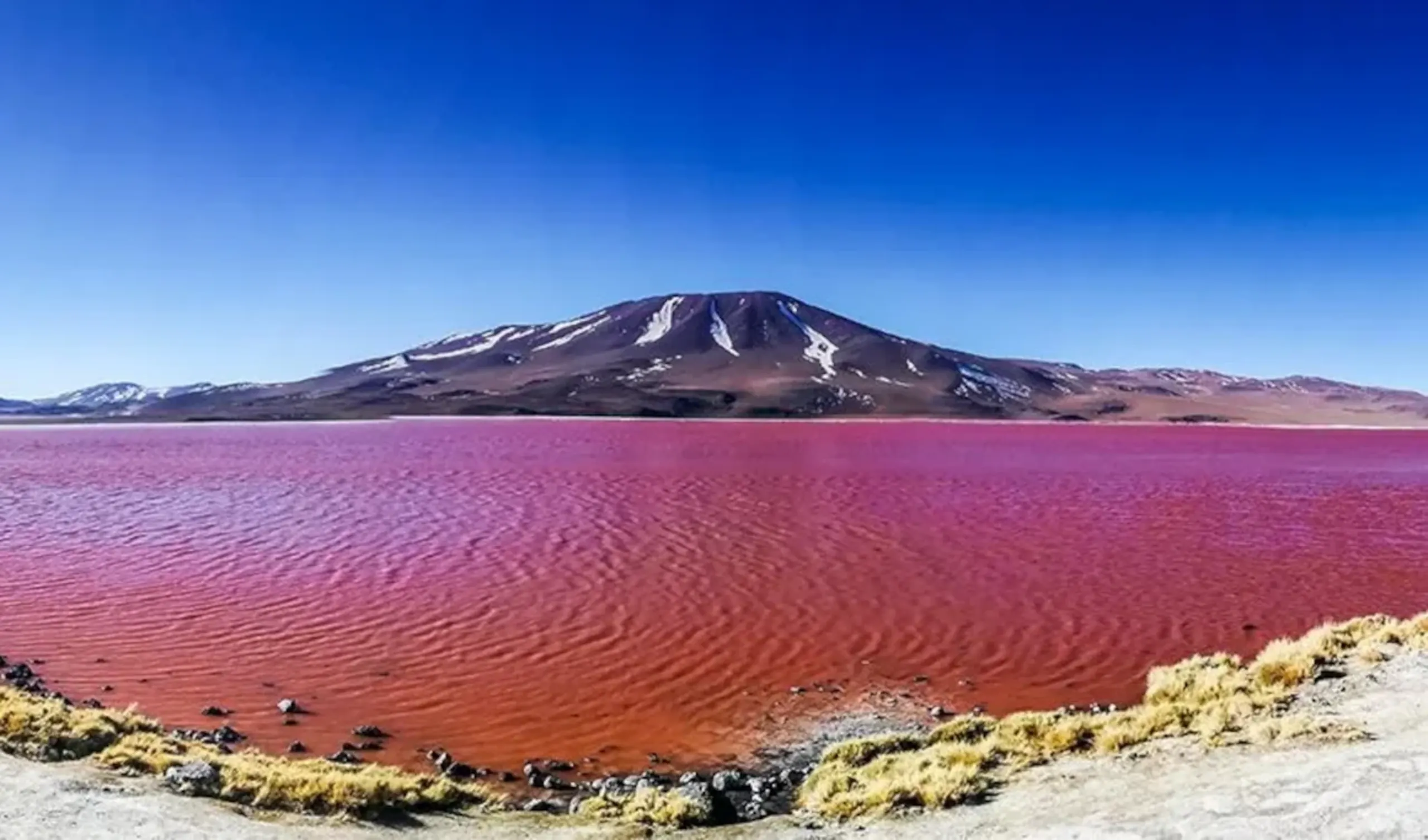 Uyuni Salt Flats & Desert Adventure 3D/2N (Uyuni to Atacama) - 23
