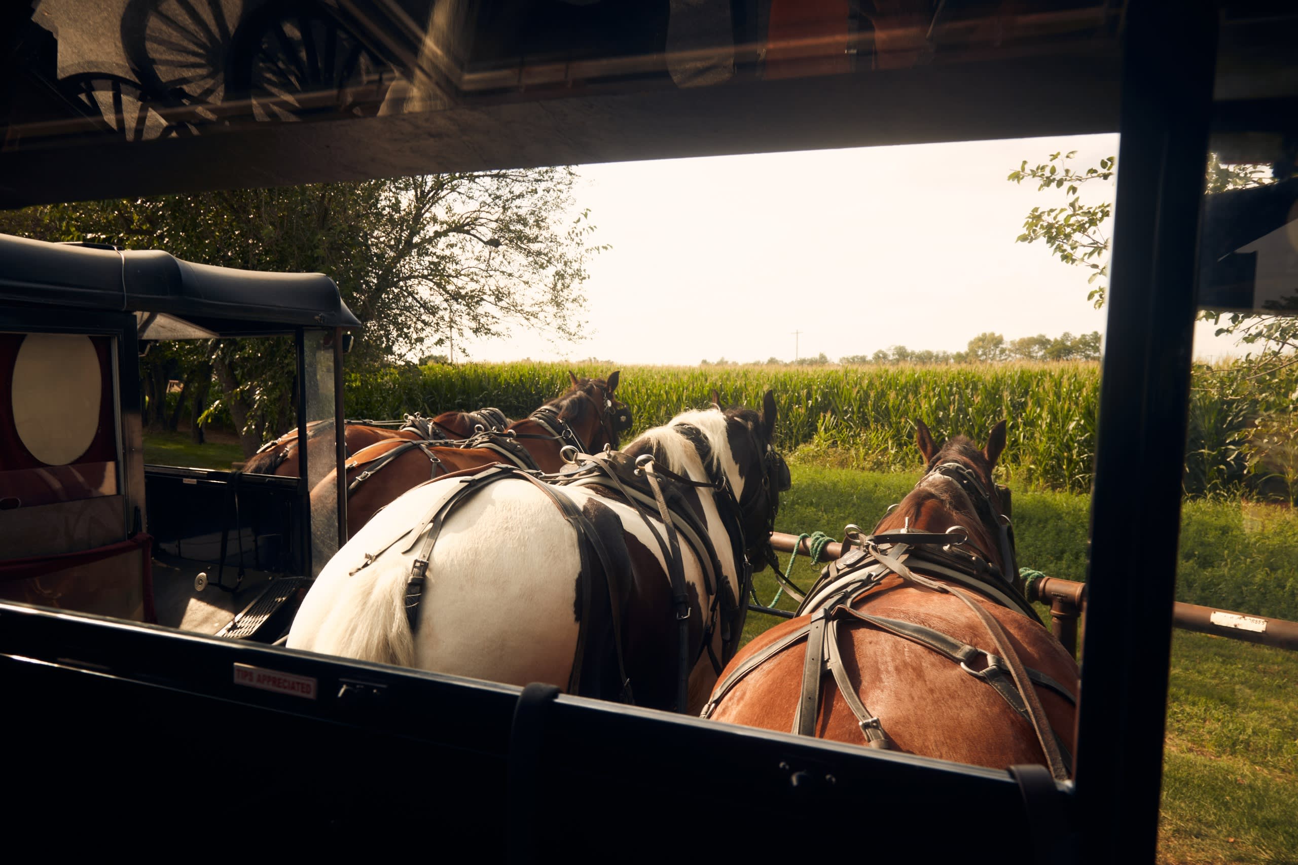 Niagara Falls, Washington DC, Philadelphia & Amish Country 4D/3N (from New York) - 25