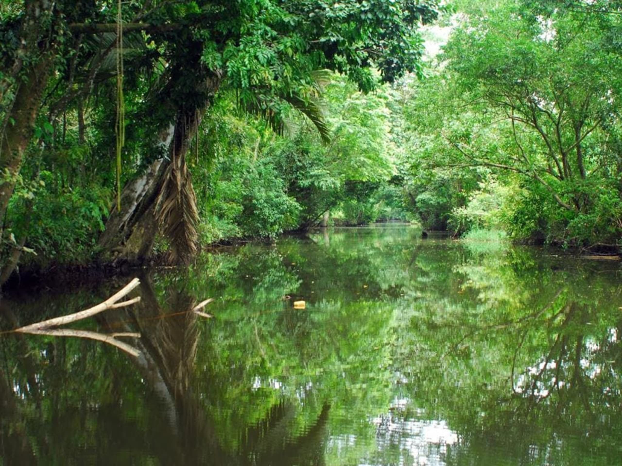 Full Costa Rica Explorer 14D/13N - 26