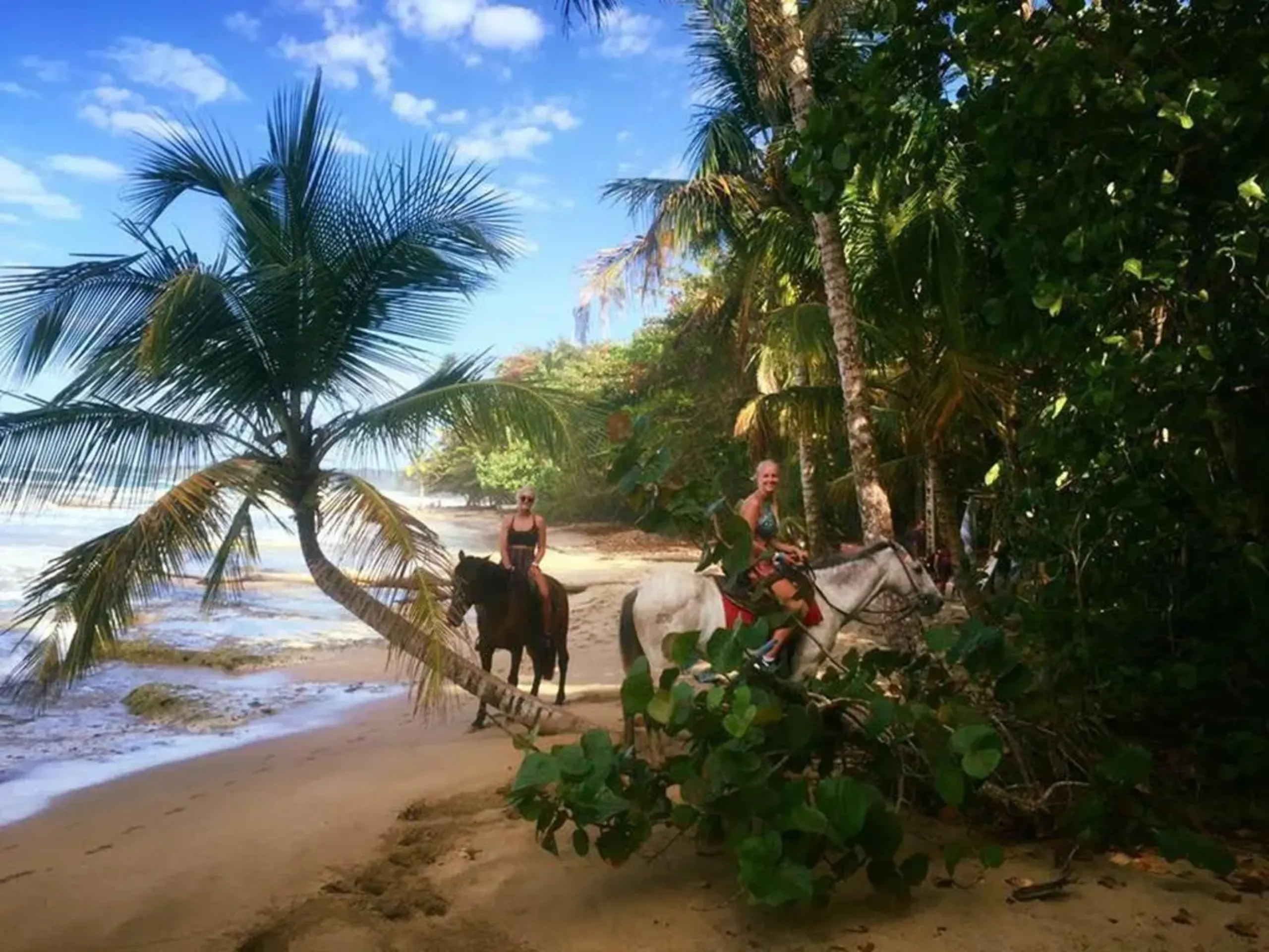 Full Costa Rica Explorer 14D/13N - 29