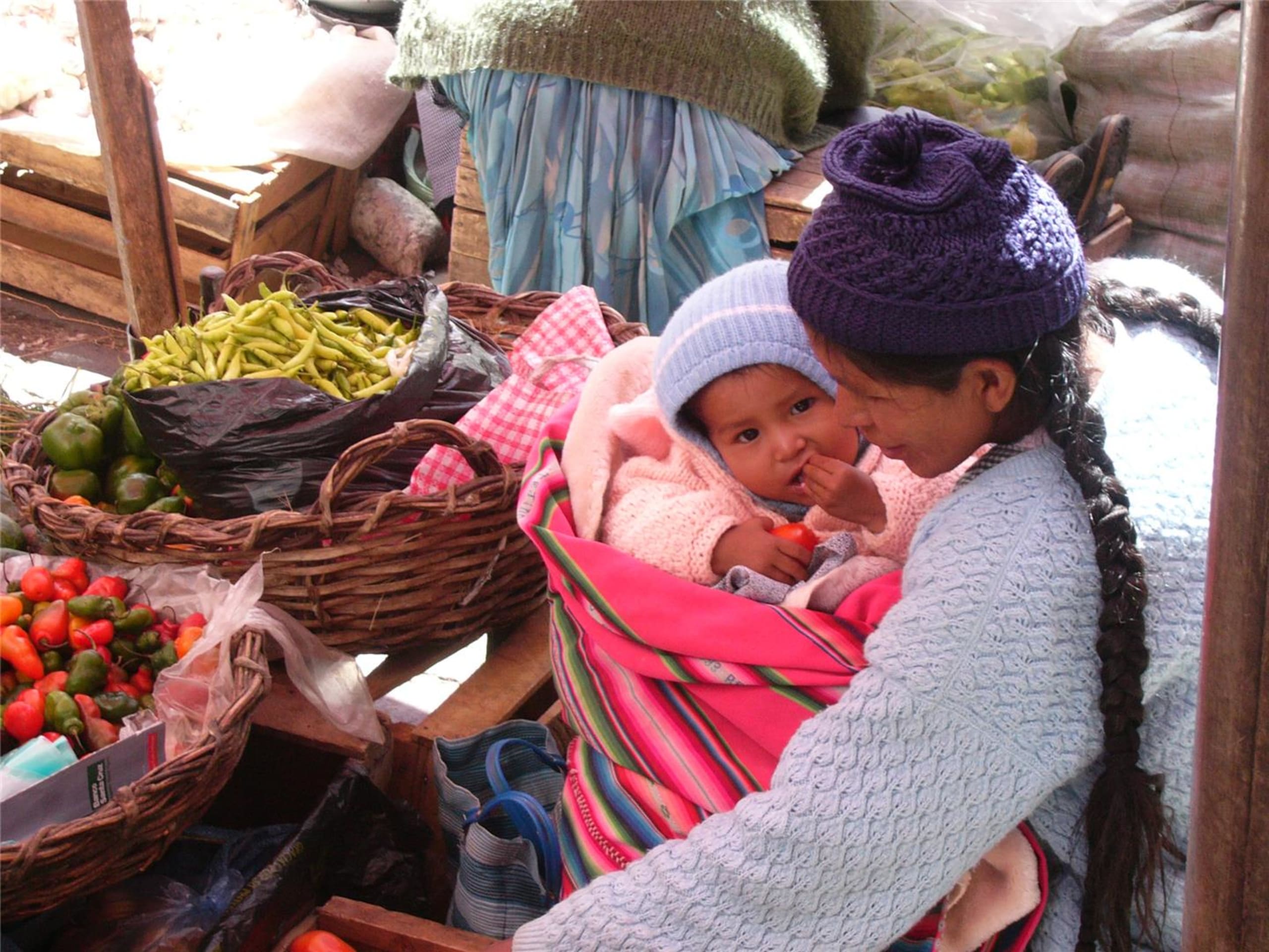 Madidi & Pampas Amazon Air-Expedition 5D/4N - 5