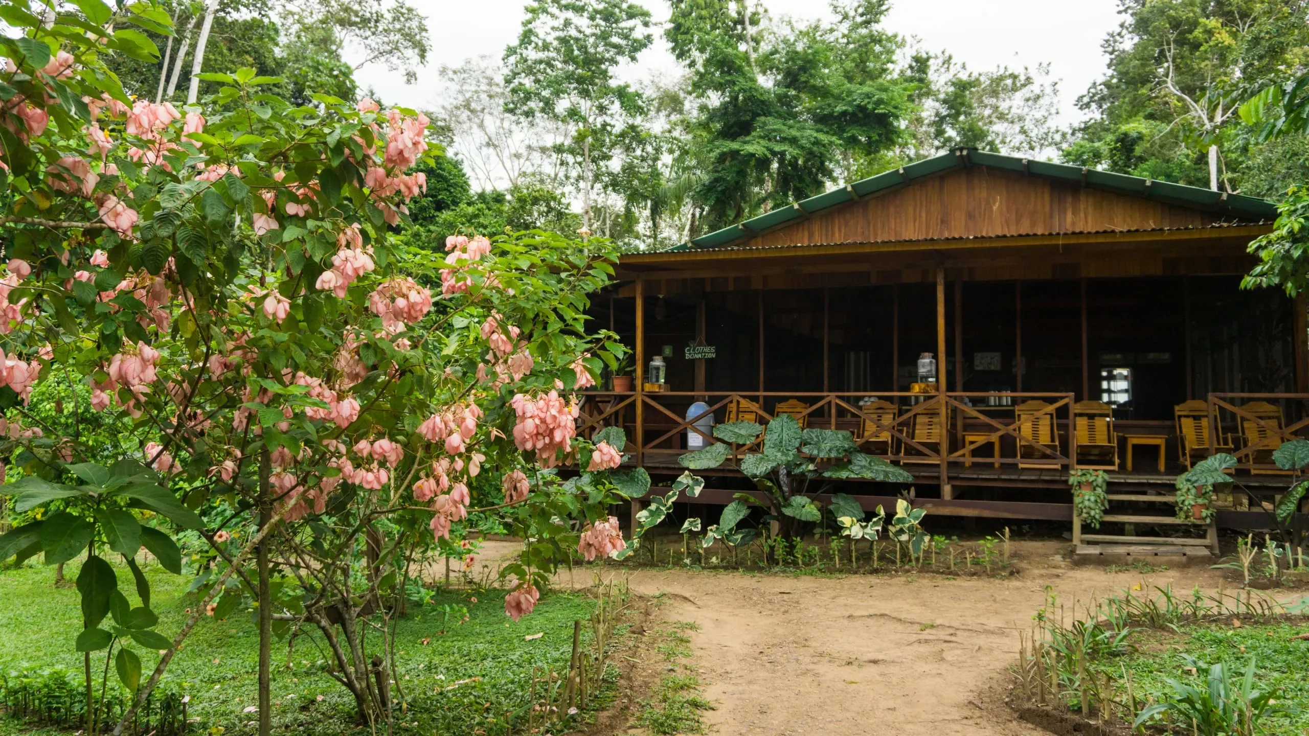 Puerto Maldonado Amazon Eco-Lodge 6D/5N (from Cuzco) - 4