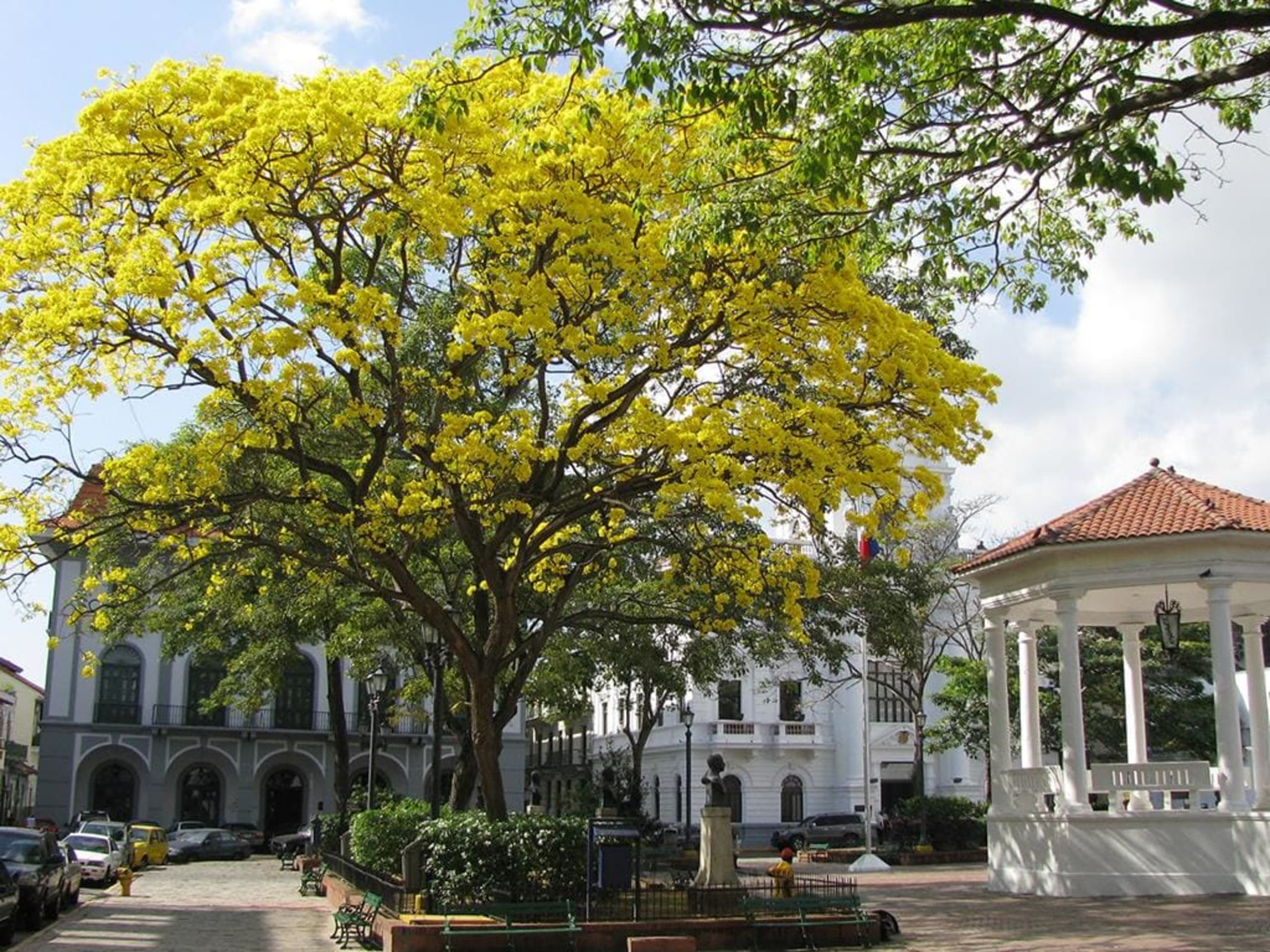 Panama City Express 5D/4N - 19