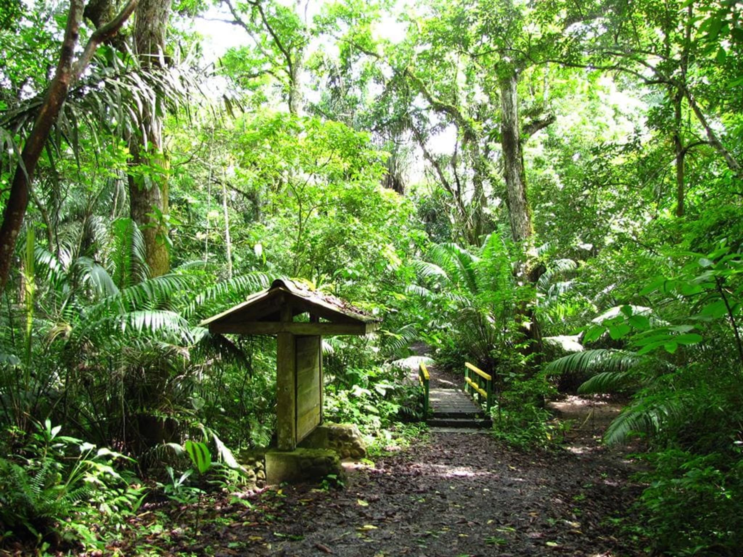 Panama City Express 5D/4N - 21