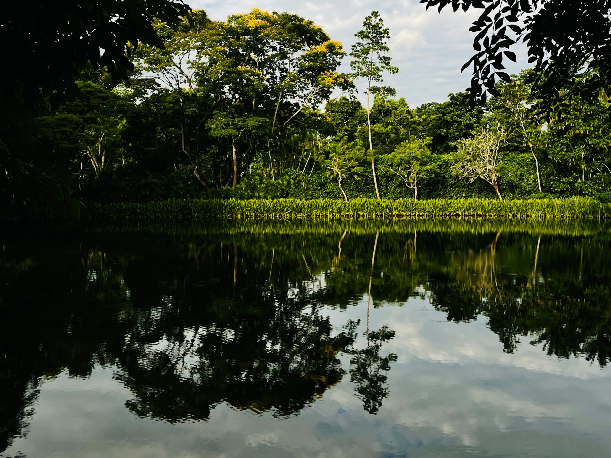 Pantanal & Bonito Experience 6D/5N - 20