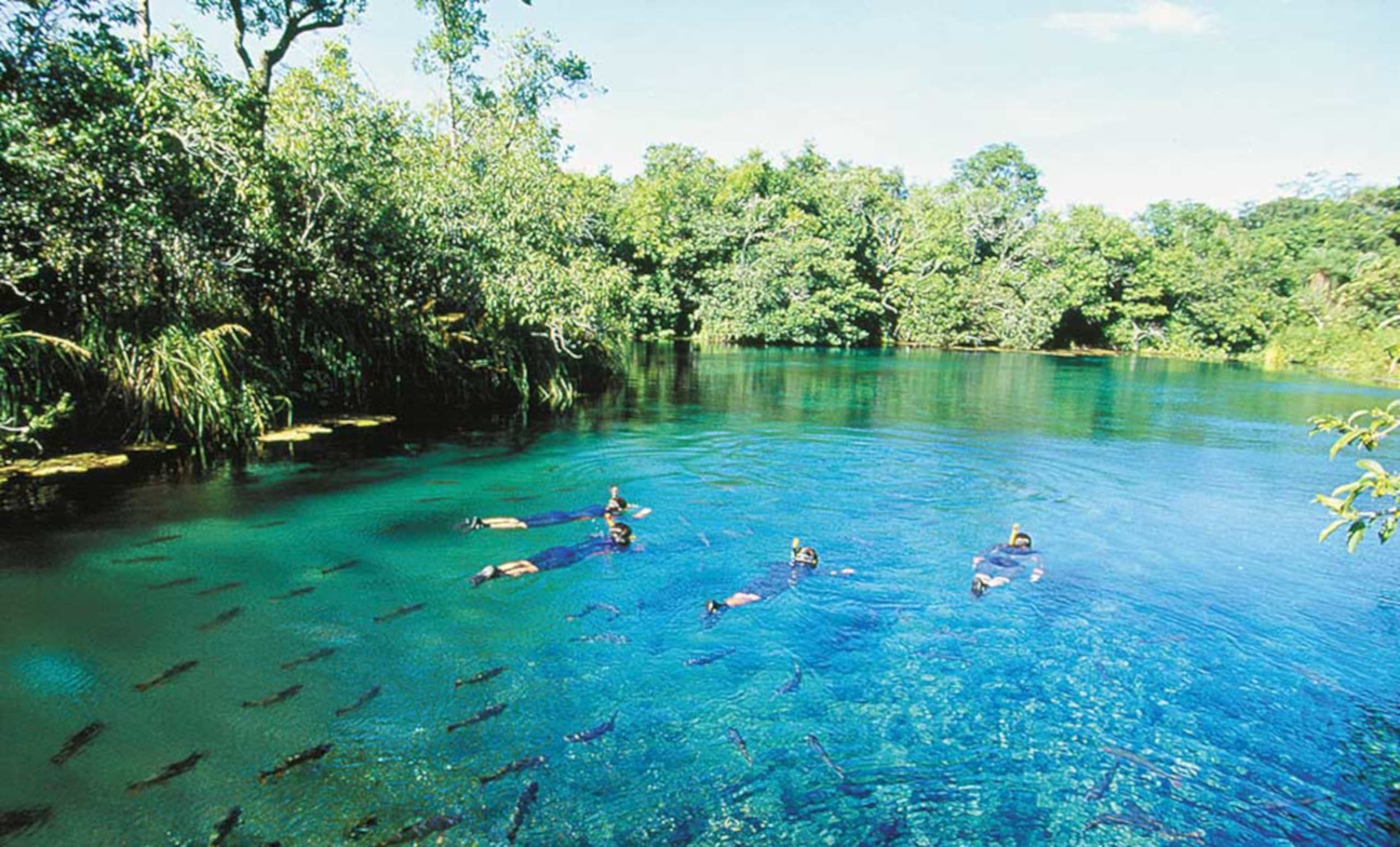 Pantanal, Bonito & Iguazu Adventure 9D/8N (from Campo Grande) - 25