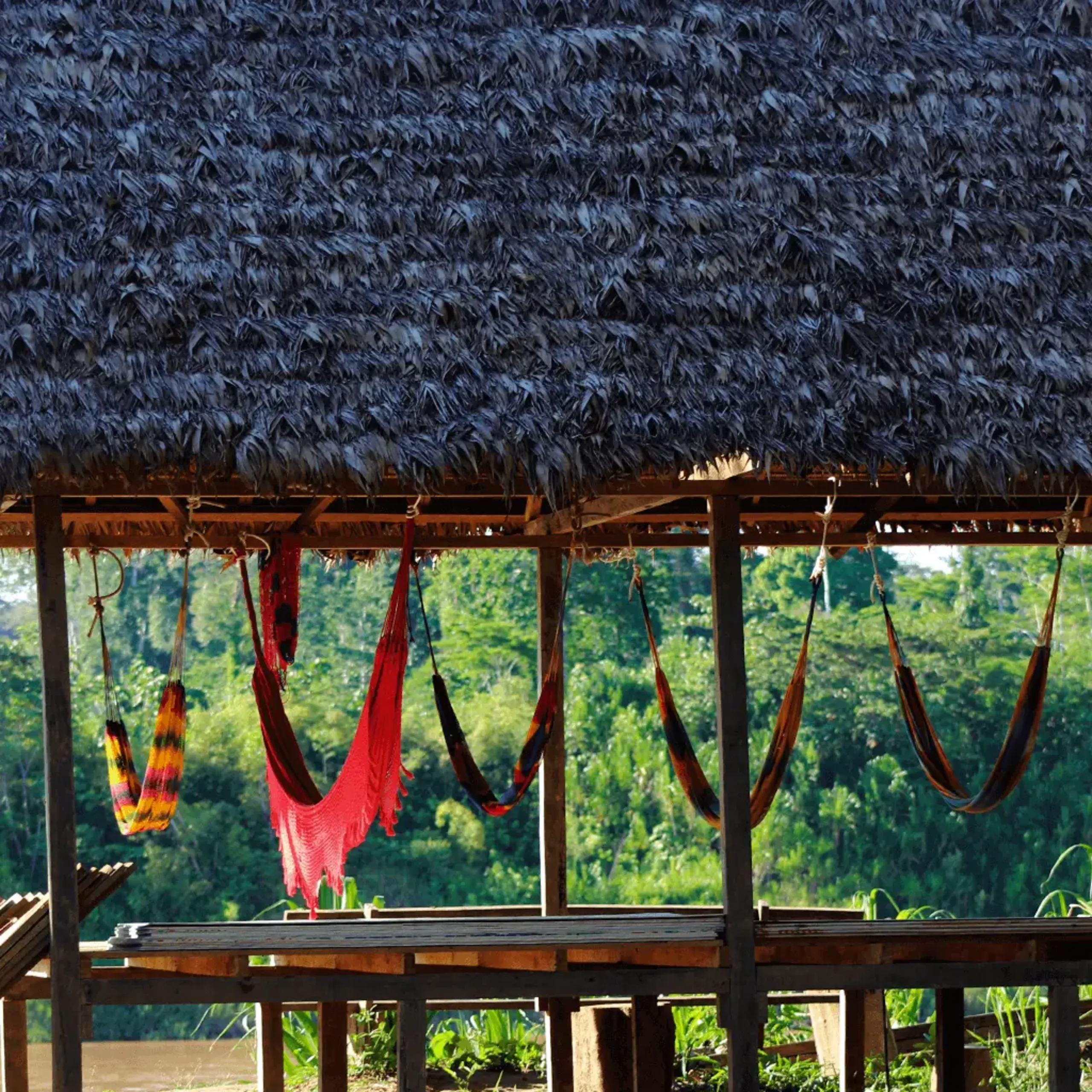 Puerto Maldonado Amazon Budget Eco-Lodge 3D/2N - 9