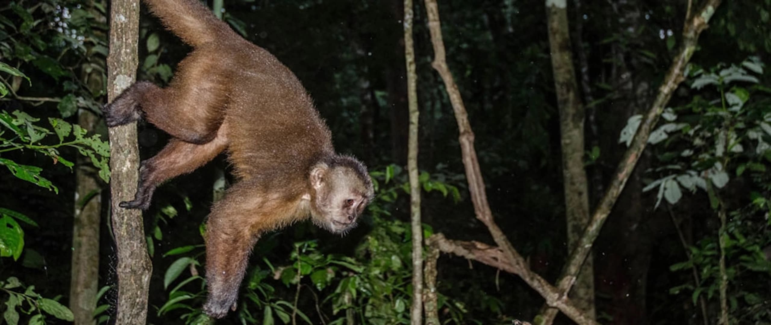 Puerto Maldonado Amazon Budget Eco-Lodge 3D/2N - 4