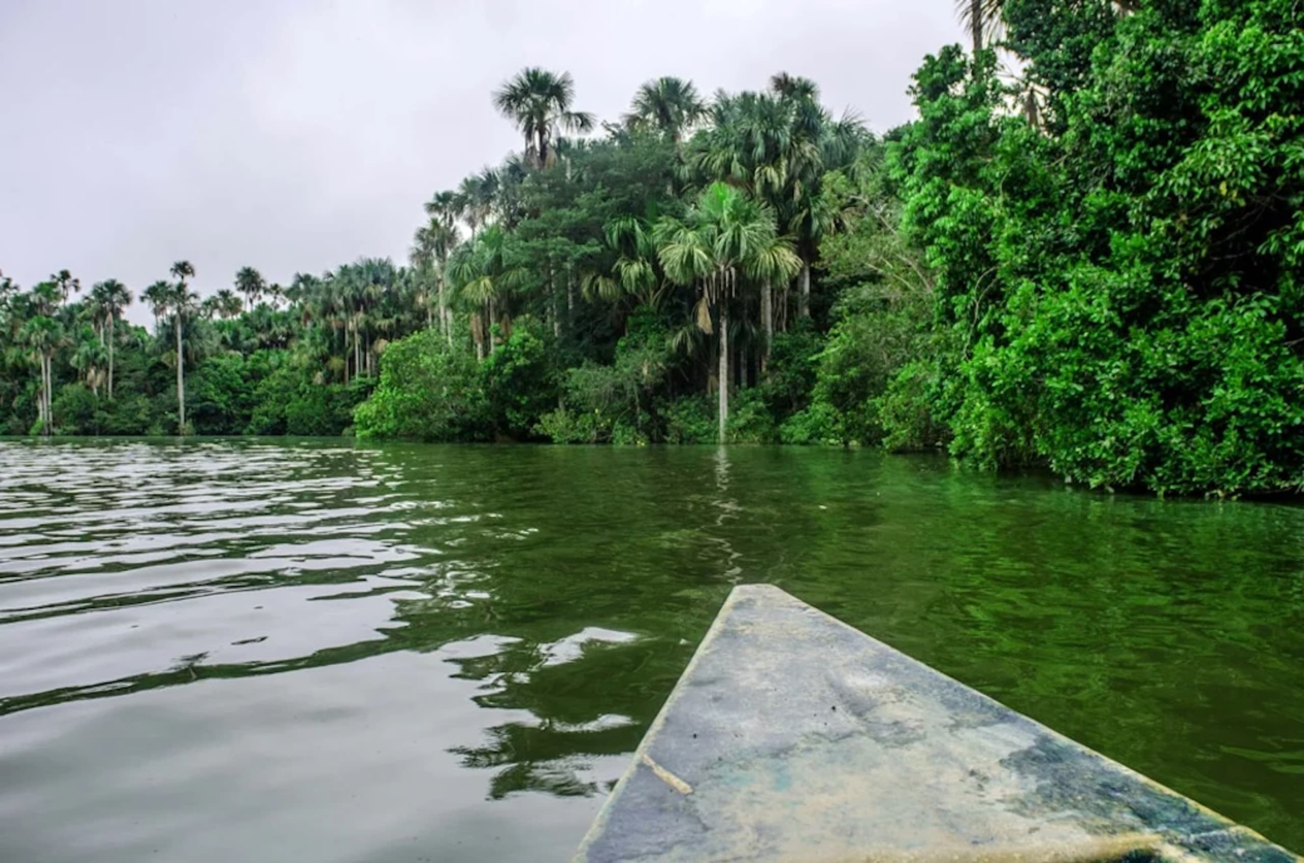 Puerto Maldonado Amazon Budget Eco-Lodge 3D/2N - 21