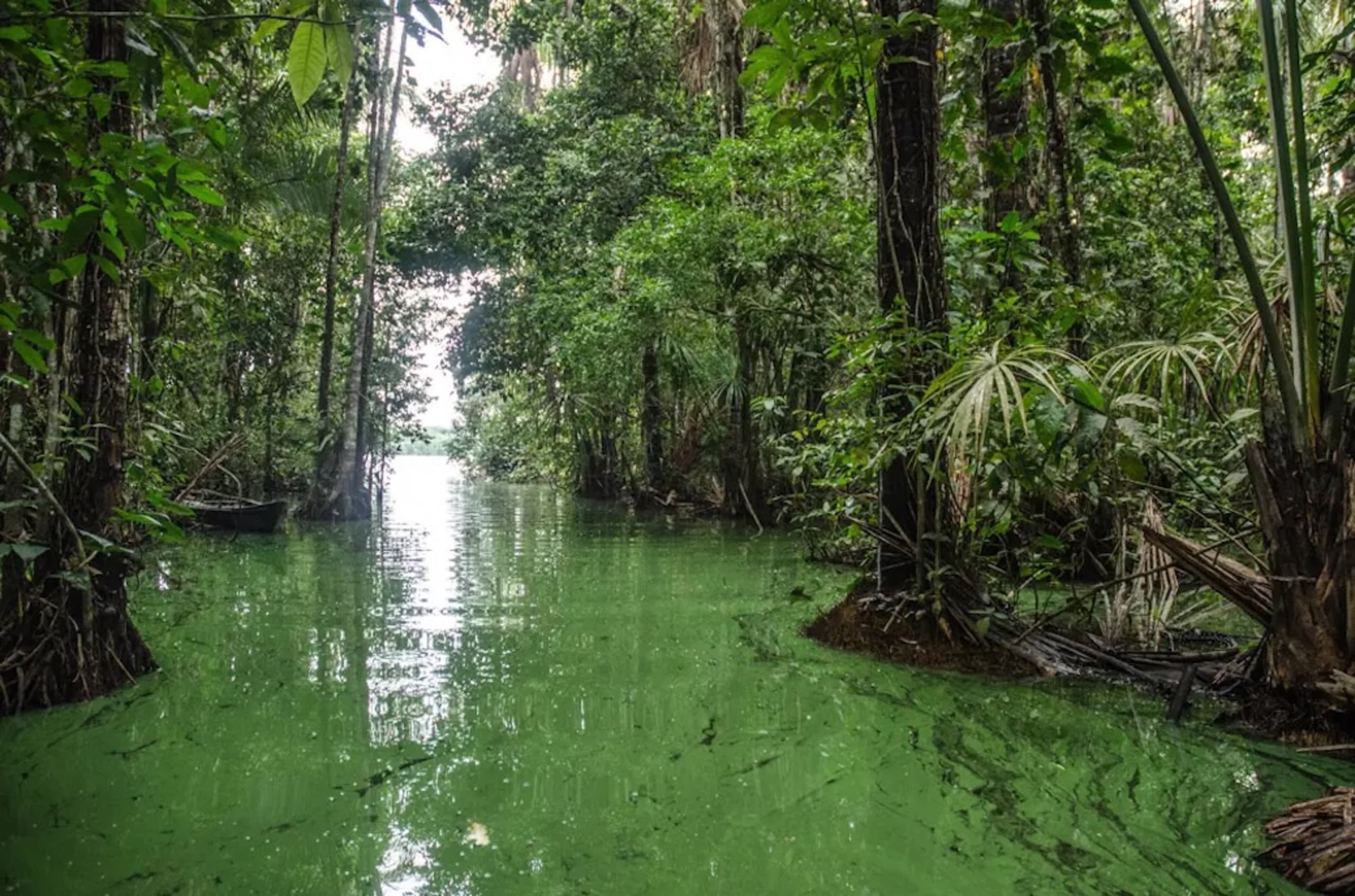 Puerto Maldonado Amazon Budget Eco-Lodge 3D/2N - 14