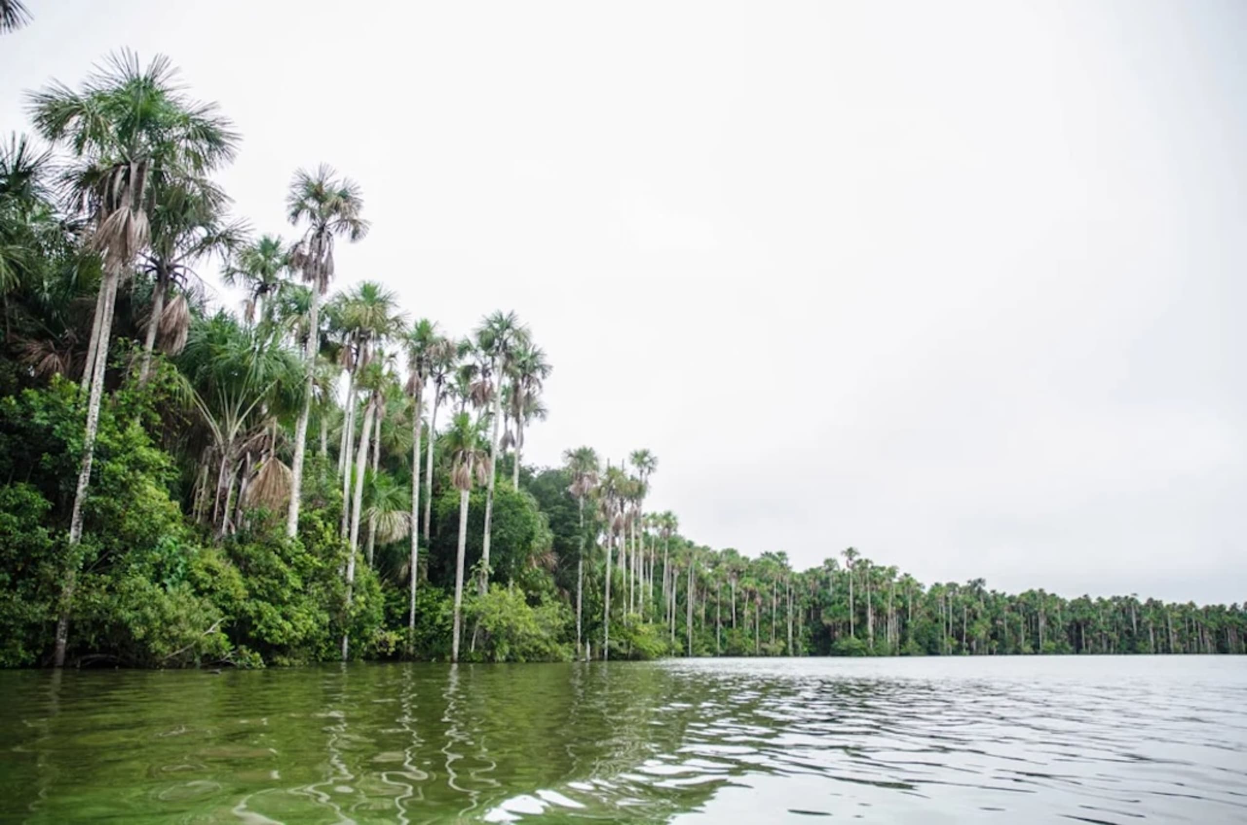 Puerto Maldonado Amazon Budget Eco-Lodge 3D/2N - 32