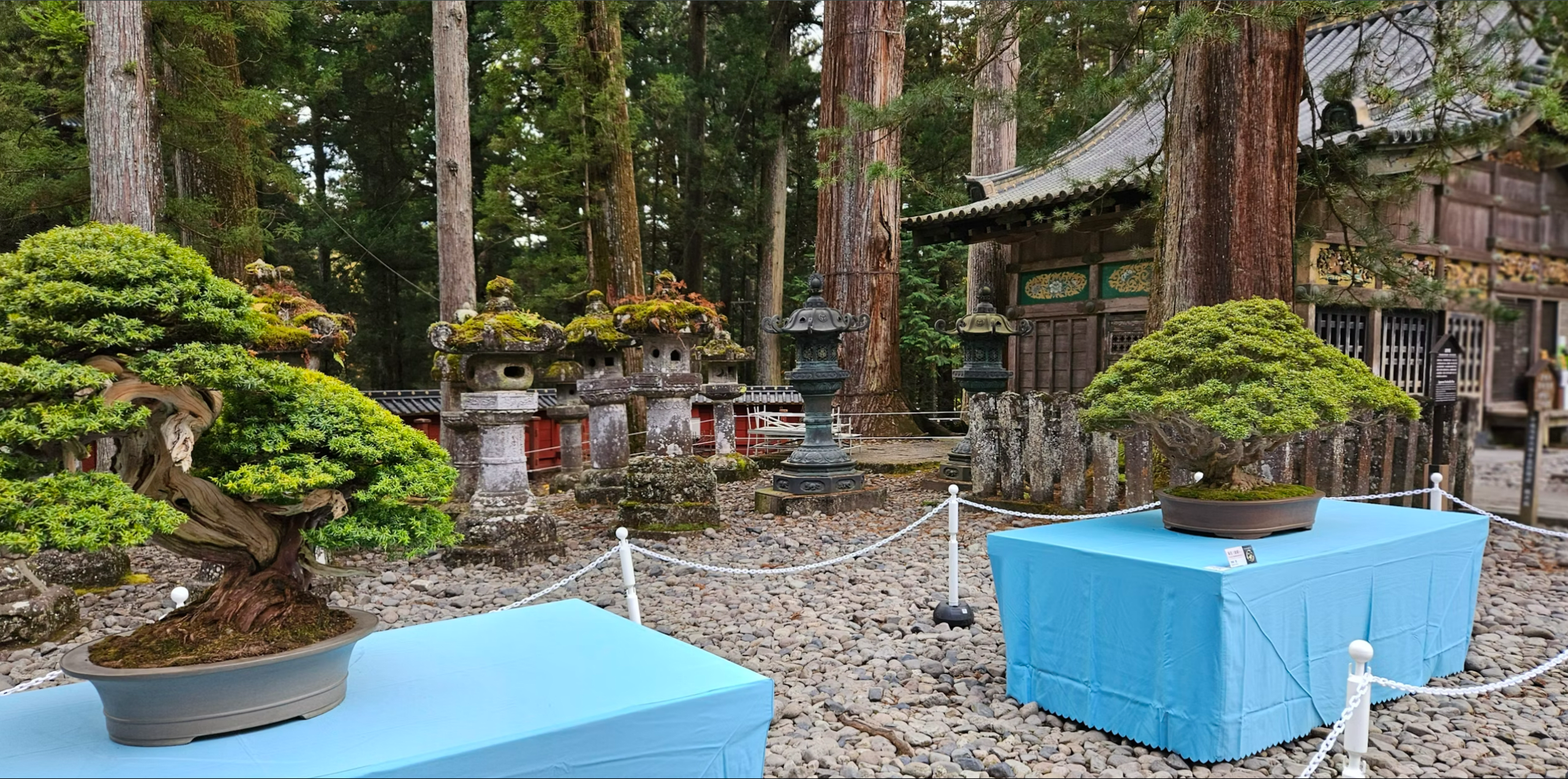 Spirit of Japan 14D/13N - 44