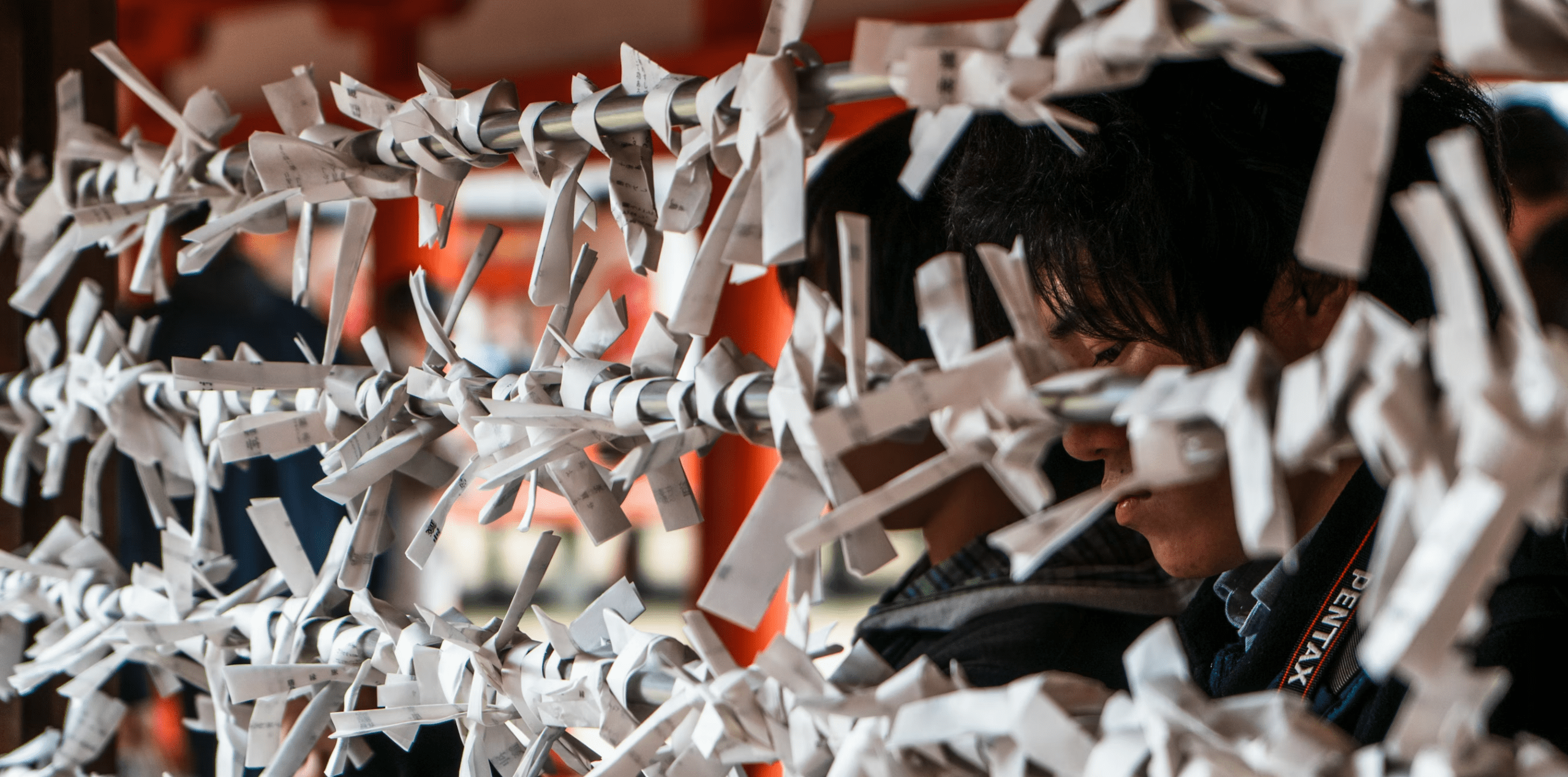 Spirit of Japan 14D/13N - 58