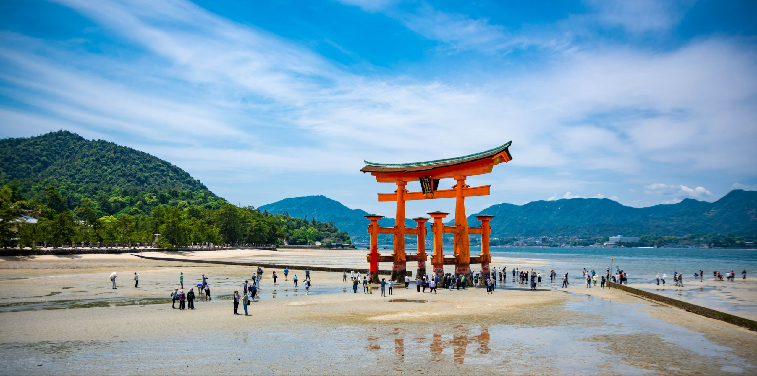 Spirit of Japan 14D/13N - 65