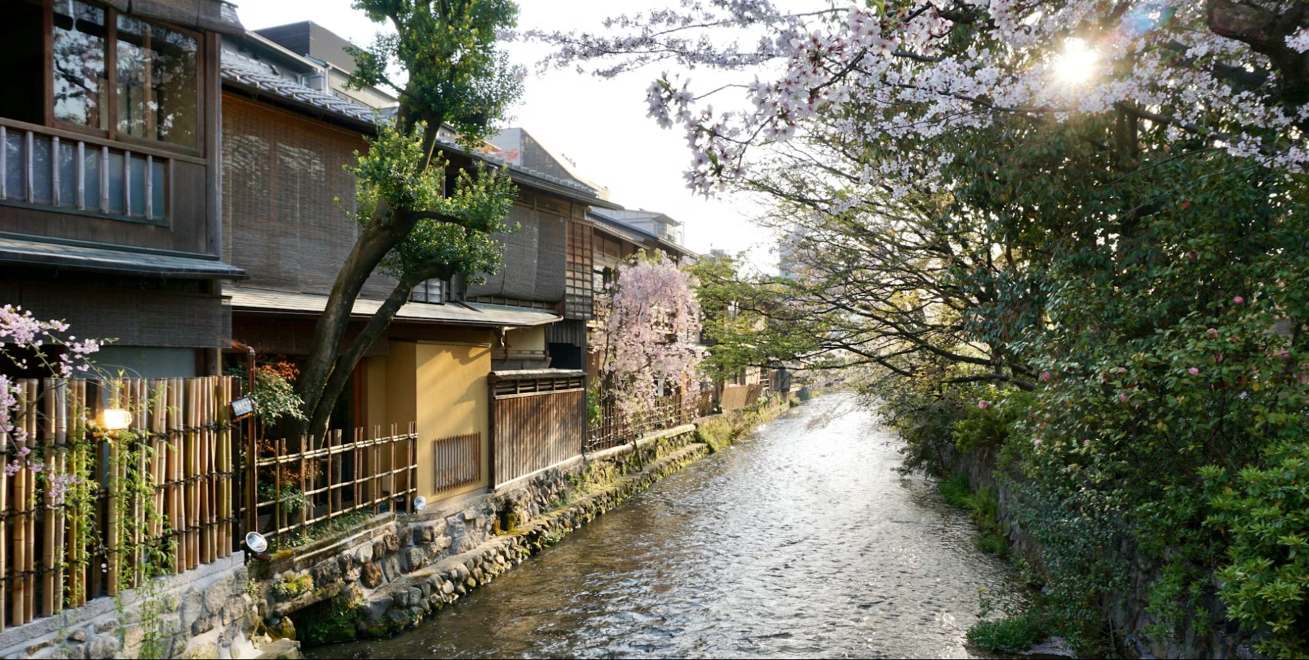 Spirit of Japan 14D/13N - 6