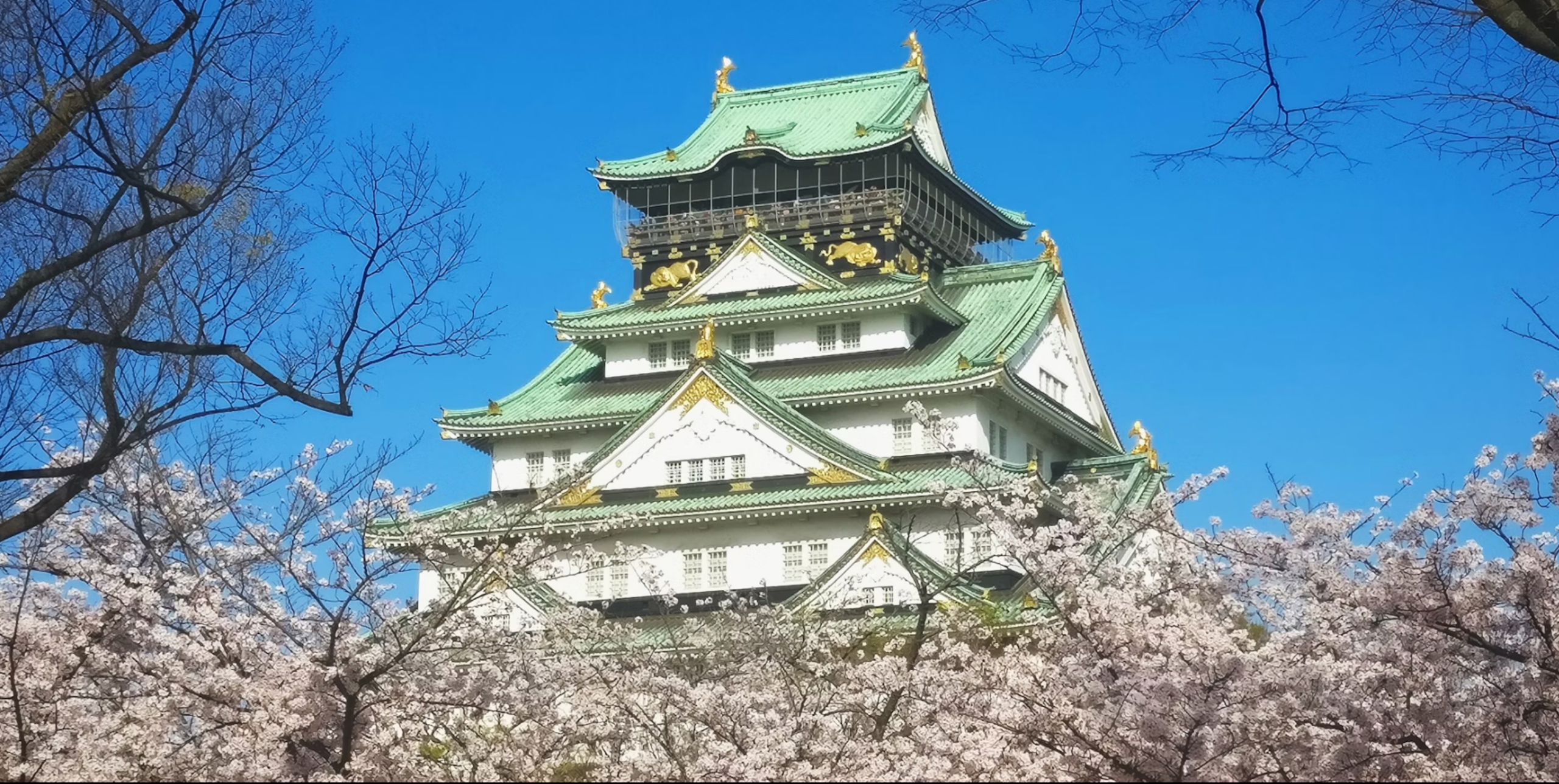 Spirit of Japan 14D/13N - 28