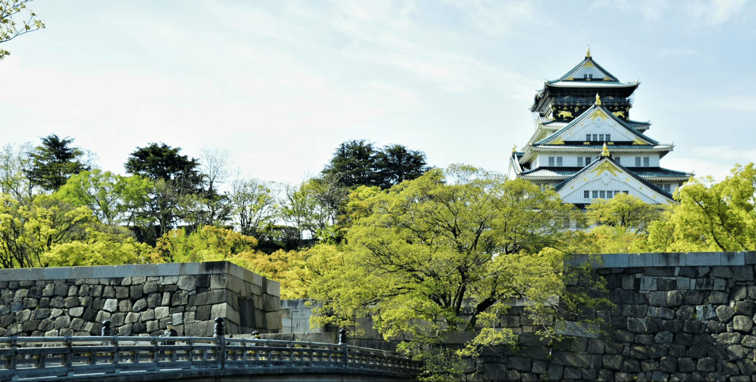 Spirit of Japan 14D/13N - 26