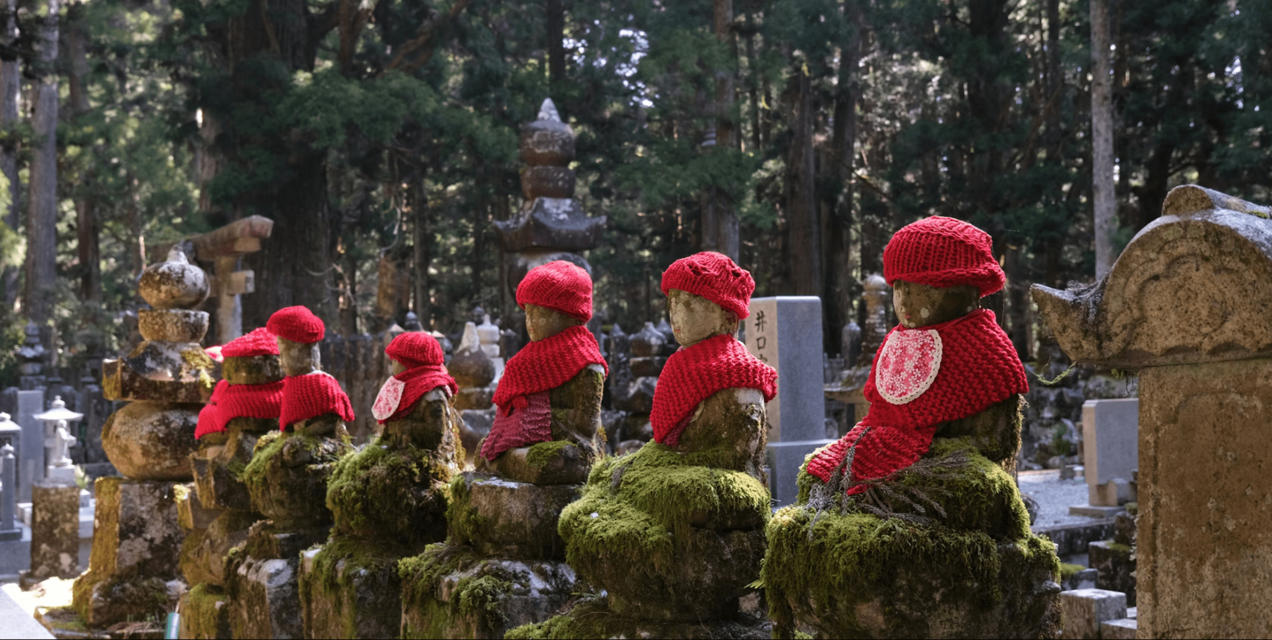 Spirit of Japan 14D/13N - 33