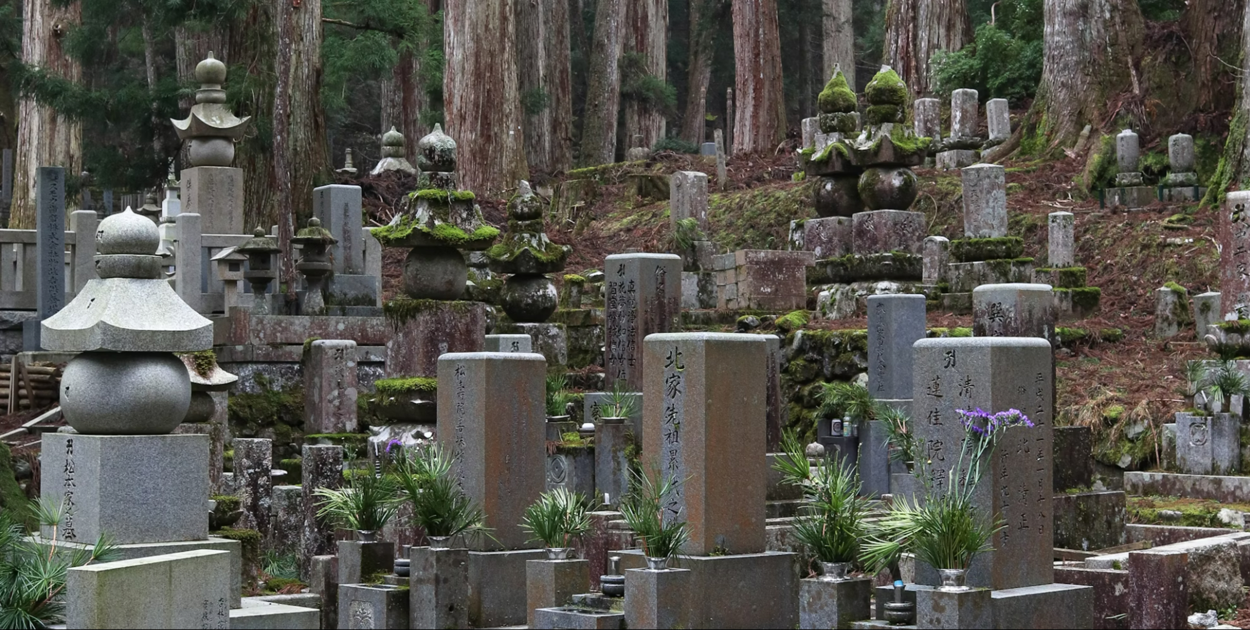 Spirit of Japan 14D/13N - 34