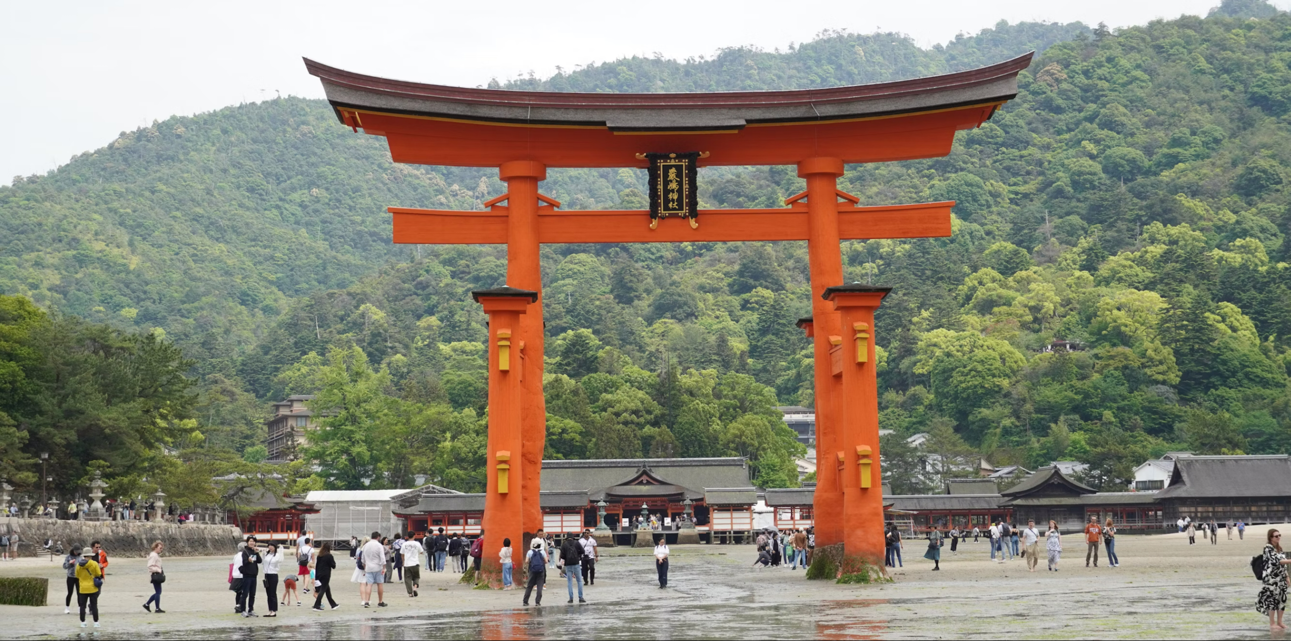 Spirit of Japan 14D/13N - 96