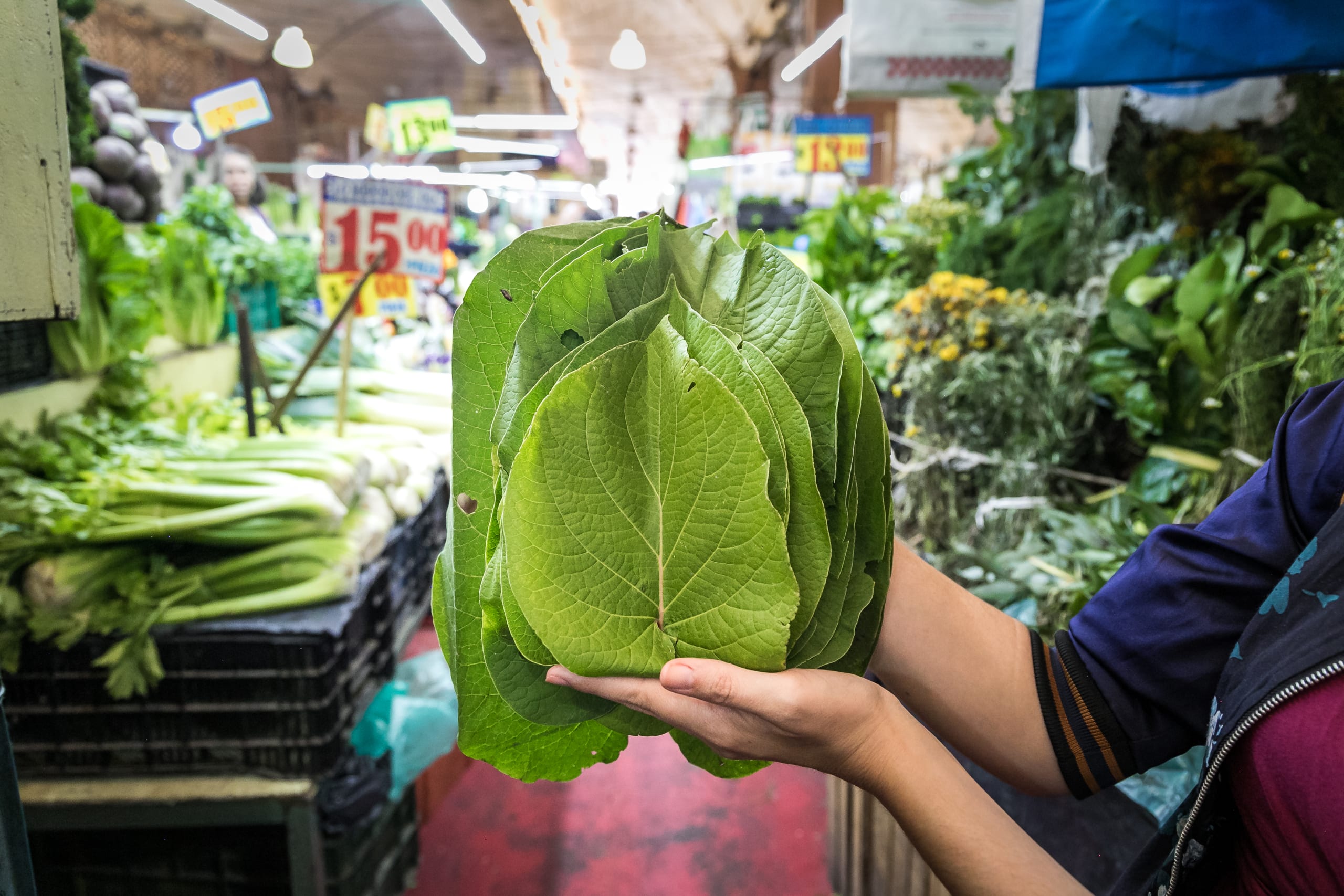 Flavours of Mexico City: La Merced Market Exploration - 10