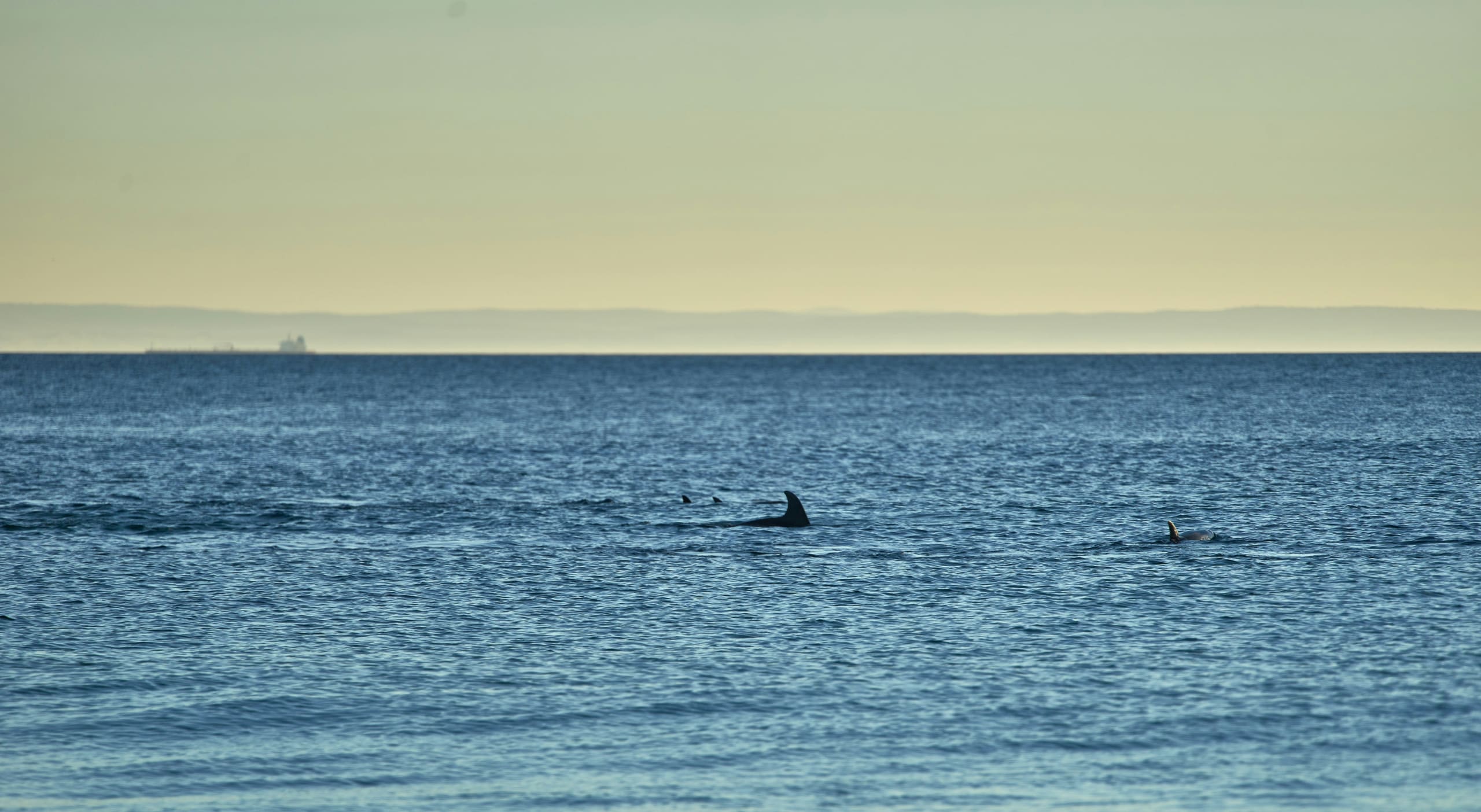 Ruta Jardín y Aventura del Vino 7D/6N - 35