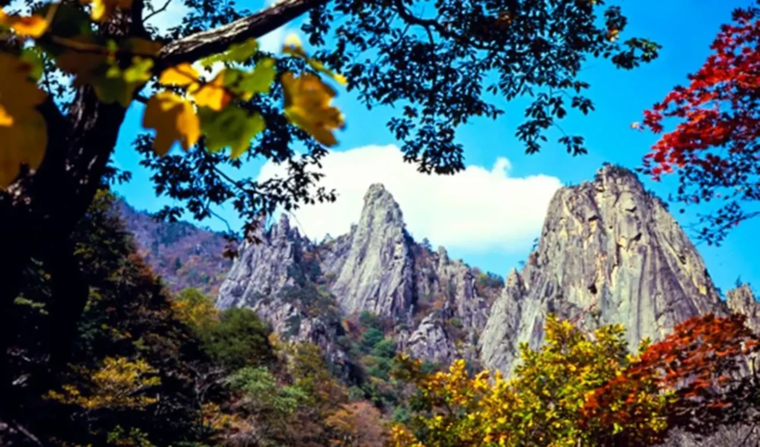 South Korea Circle Adventure 5D/4N - 17