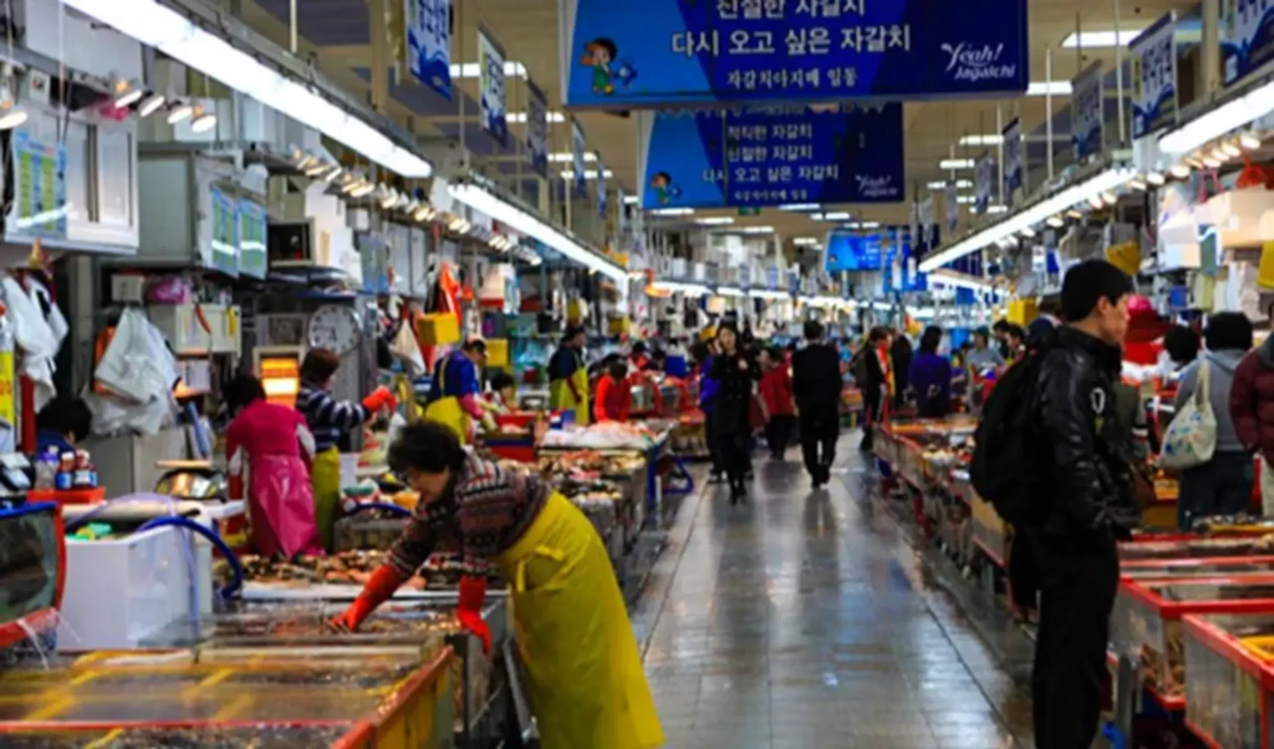 South Korea Circle Adventure 5D/4N - 16