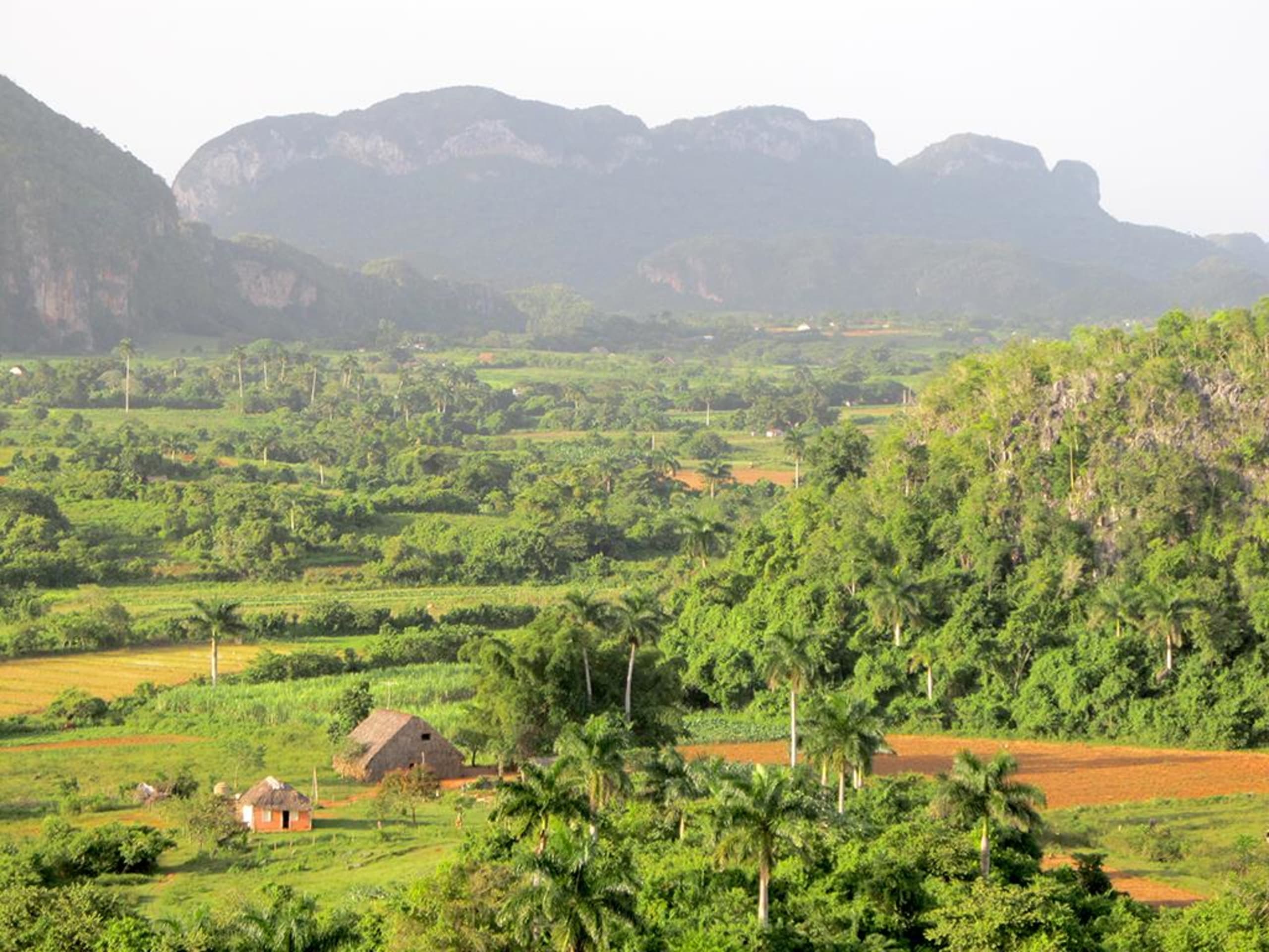 Cuba Magica Homestay Experience 14D/13N - 7