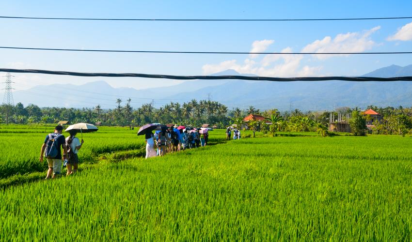 Bali Culture, Yoga & Meditation Experience 14D/13N - 6