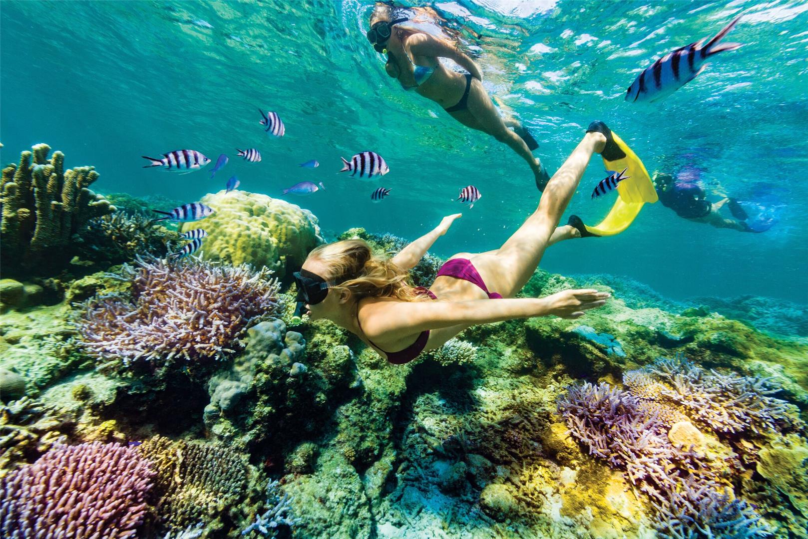 Fiji Island Hopping Adventure 9D/8N - 10