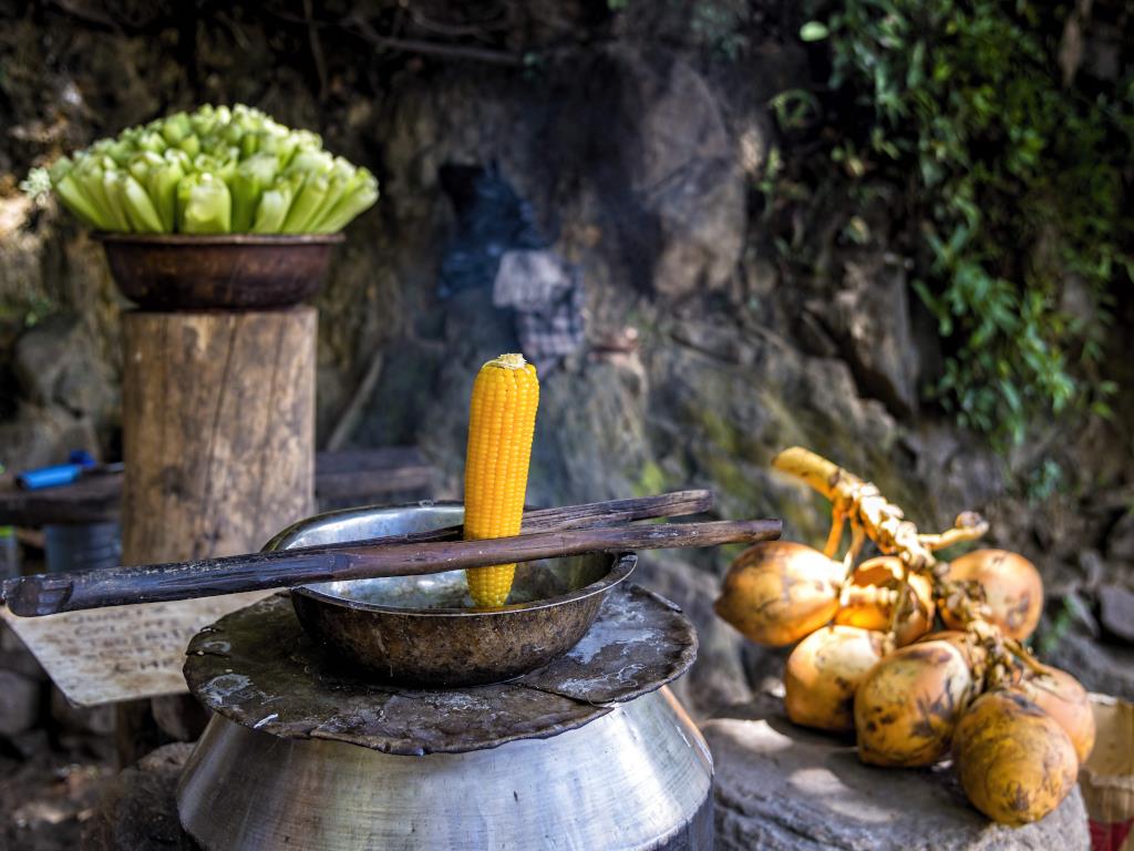 Sri Lanka & Maldives Discovery 12D/11N - 5