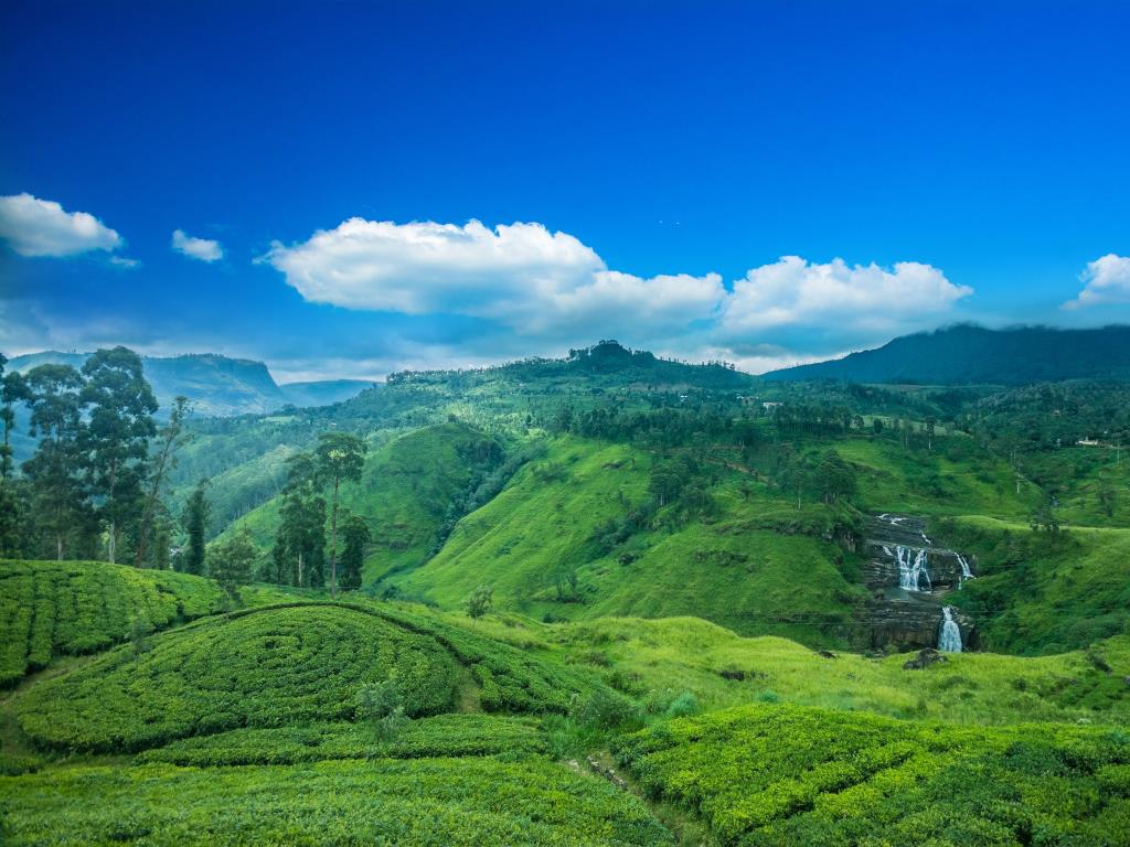 Sri Lanka & Maldives Discovery 12D/11N - 8