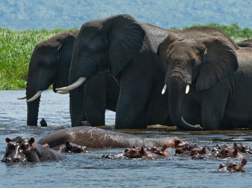 Uganda Community Voluntour & Wildlife Adventure 14D/13N - 20