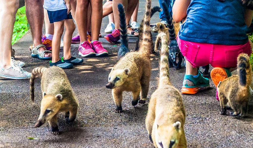 Buenos Aires to Lima (via Salta) Travel Pass - 5