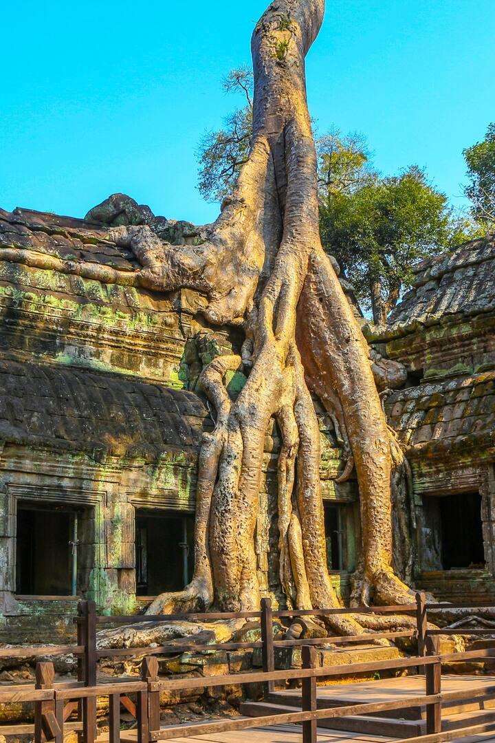 Hanoi to Singapore Travel Pass - 23