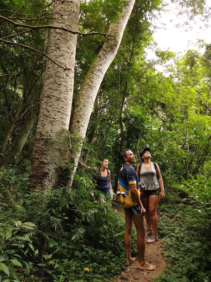 Pase de viaje de Río de Janeiro a Santiago - 11