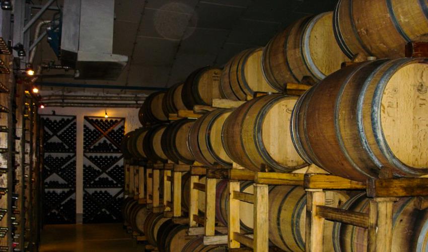 Pase de viaje de Río de Janeiro a Santiago - 18