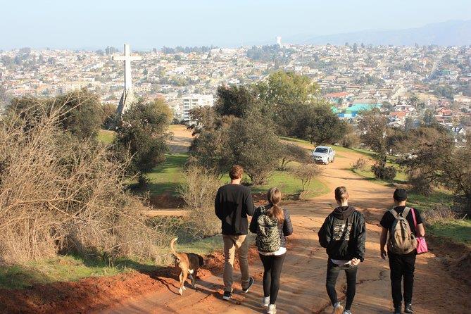 Santiago to La Paz Travel Pass - 6